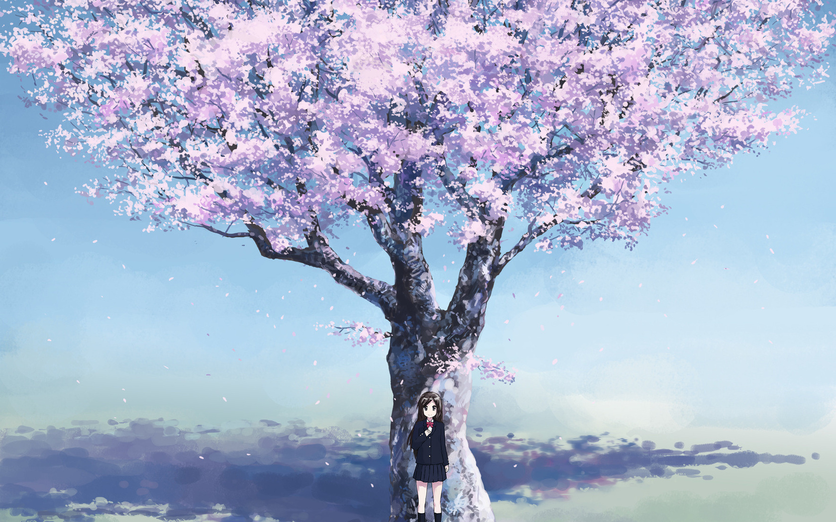 Anime Sakura Tree Wallpapers