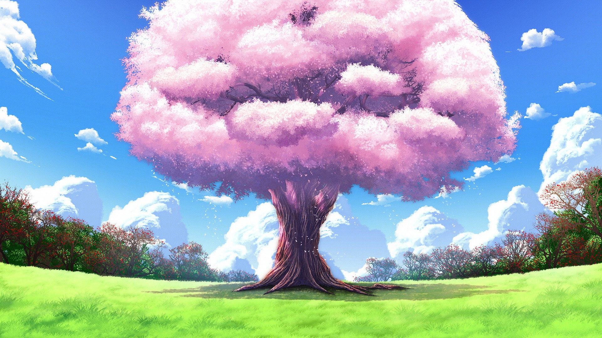 Anime Sakura Tree Wallpapers