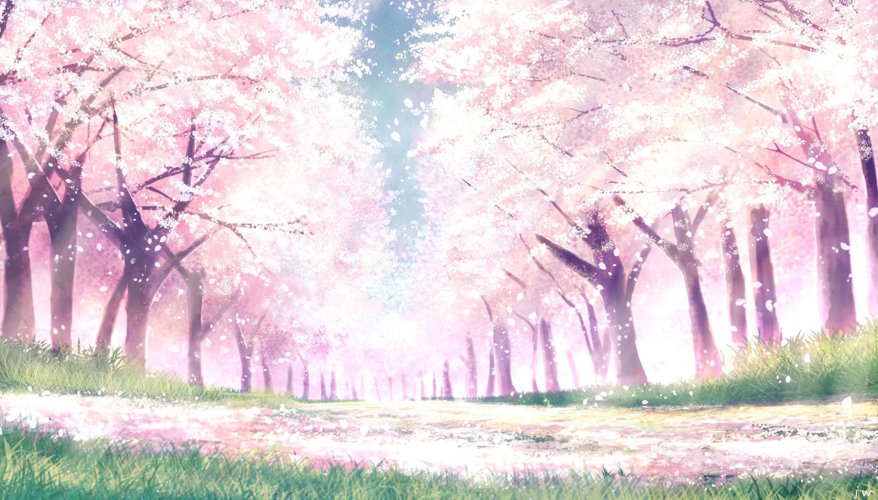 Anime Sakura Trees Hd Wallpapers