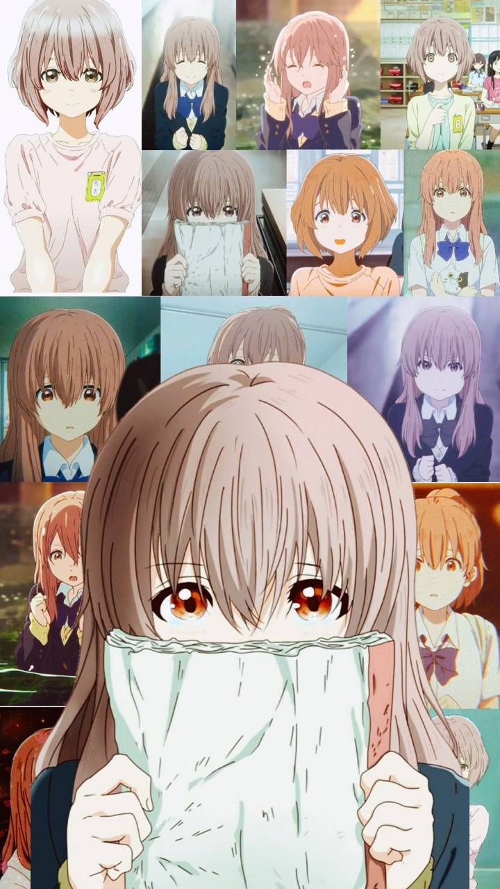 Anime Shouko Nishimiya Wallpapers