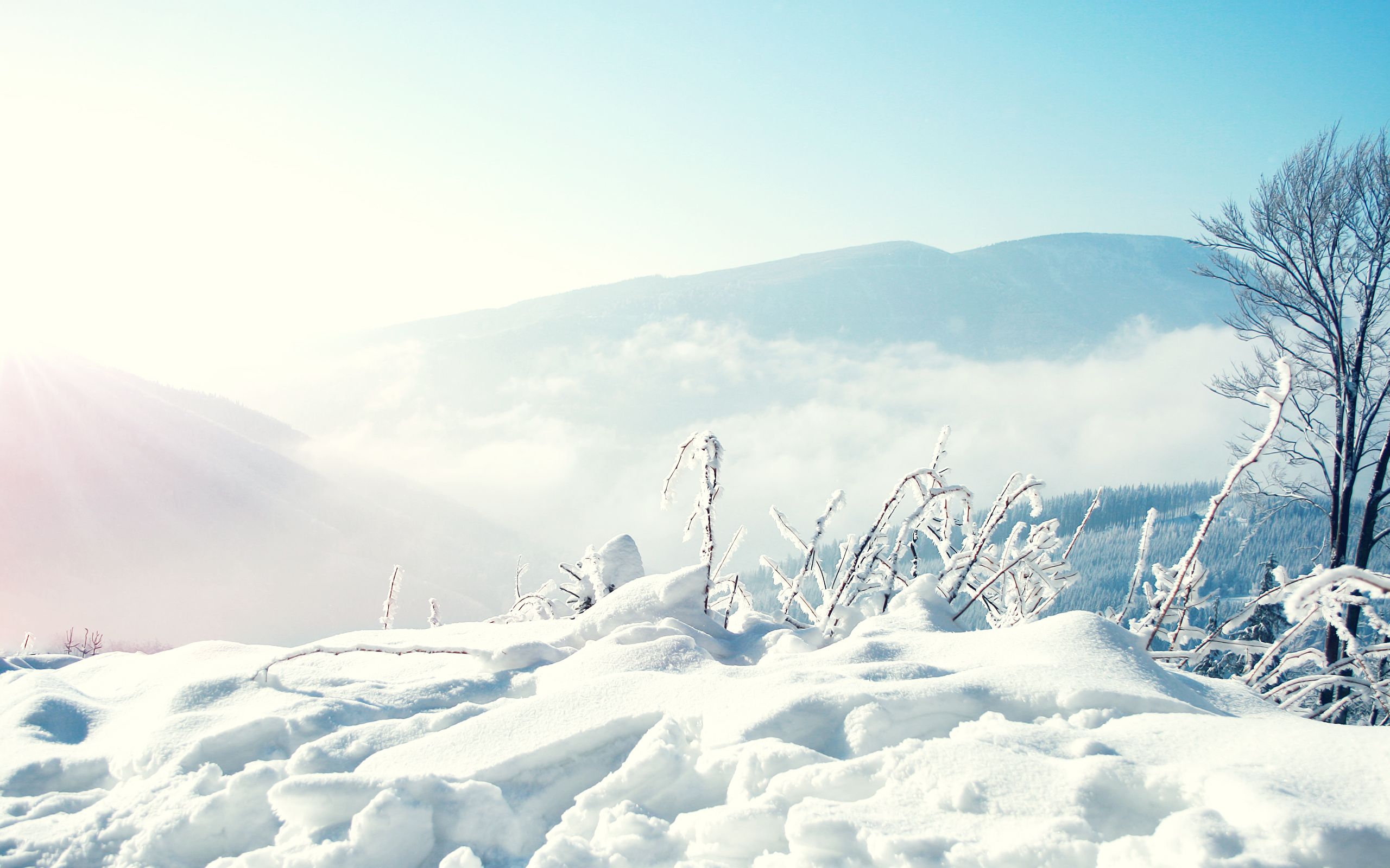 Anime Snow Scenery Wallpapers