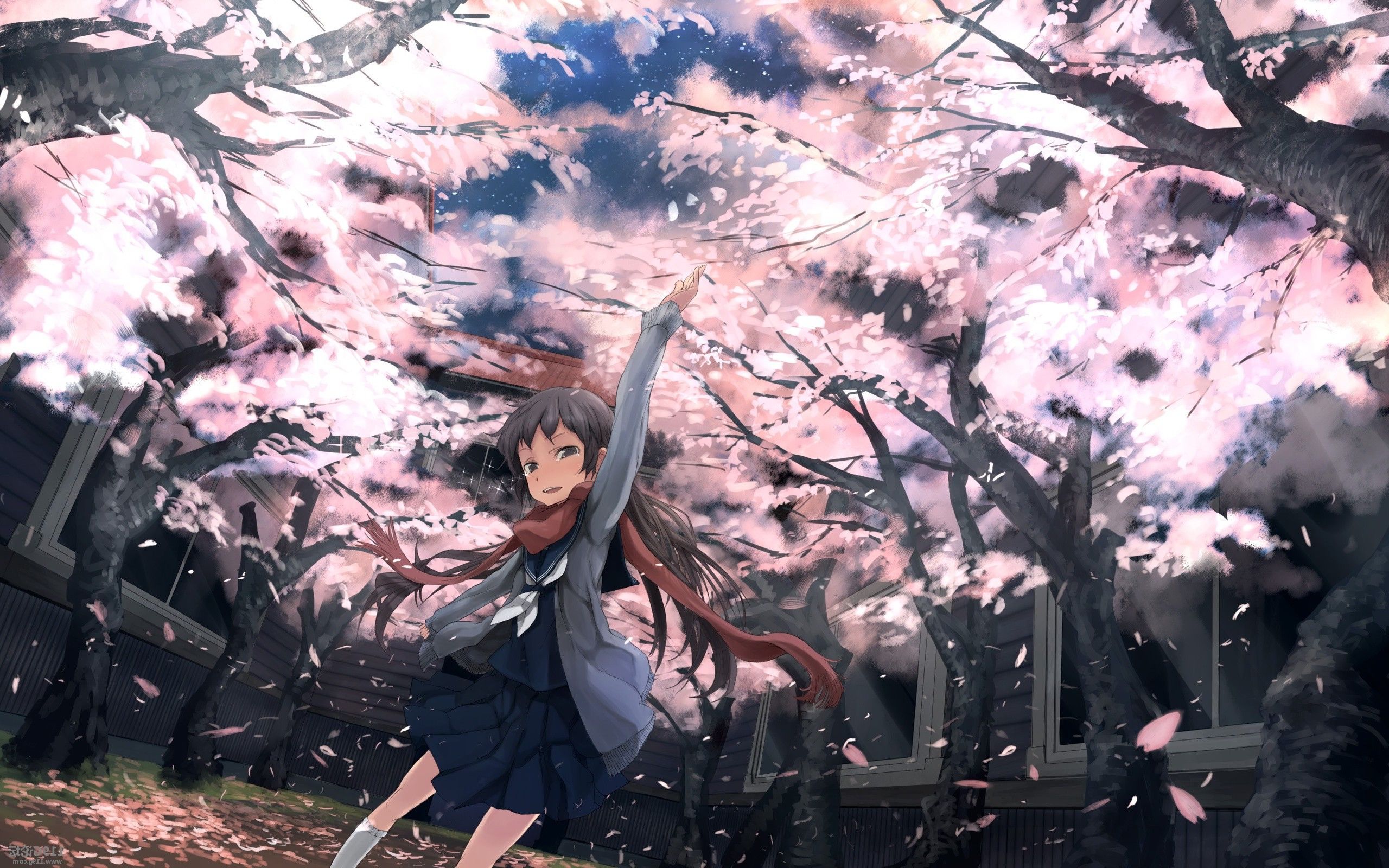 Anime Spring Hd Wallpapers