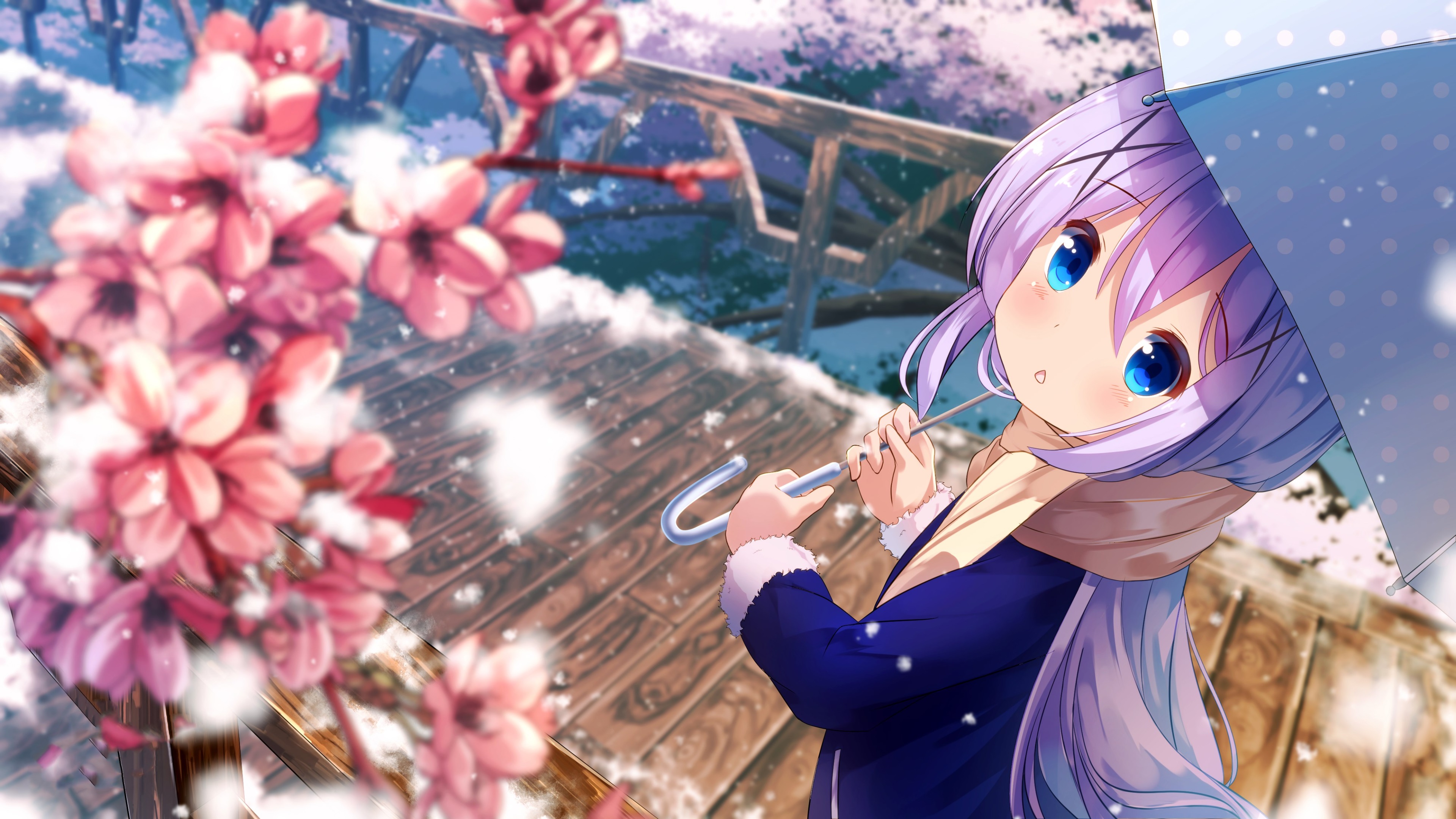 Anime Spring Hd Wallpapers