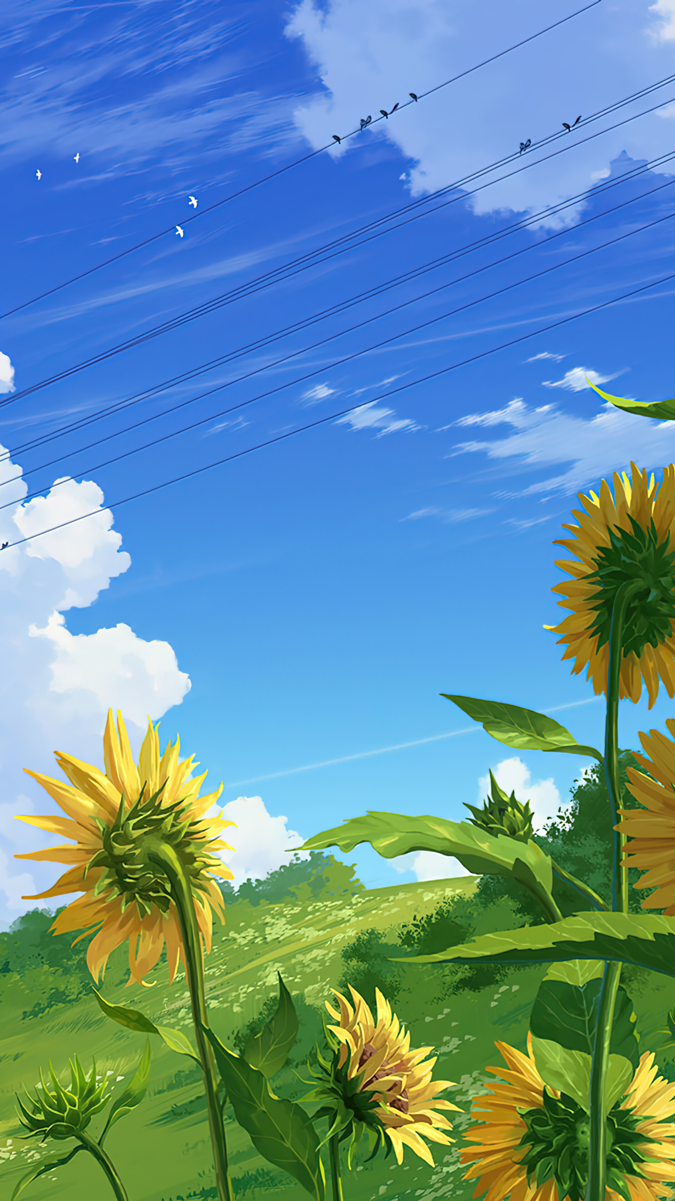 Anime Sunflower Wallpapers