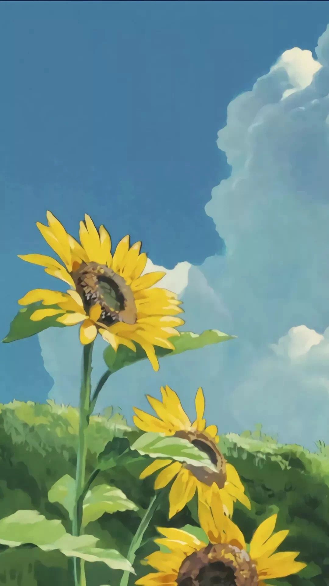 Anime Sunflower Wallpapers