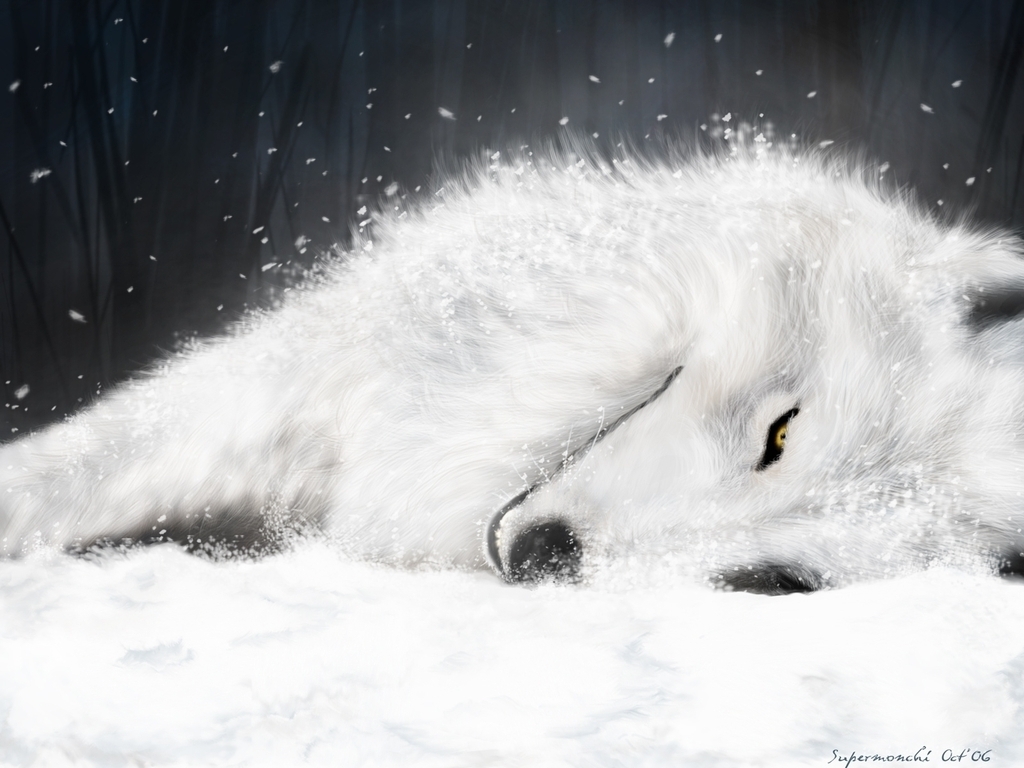 Anime White Wolf Wallpapers