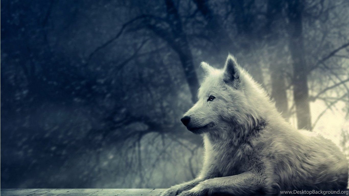 Anime White Wolf Wallpapers