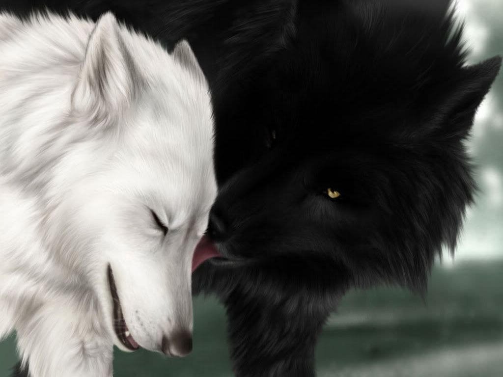 Anime White Wolf Wallpapers