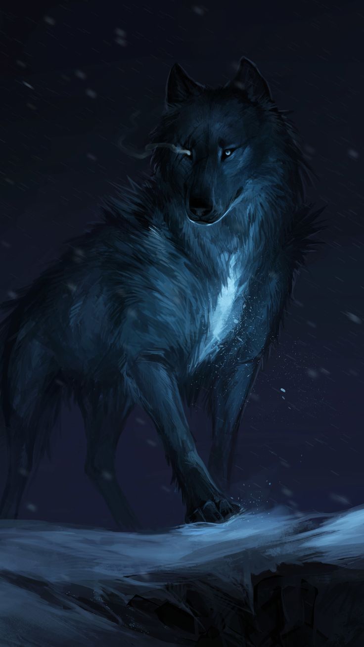 Anime Wolf Art Wallpapers