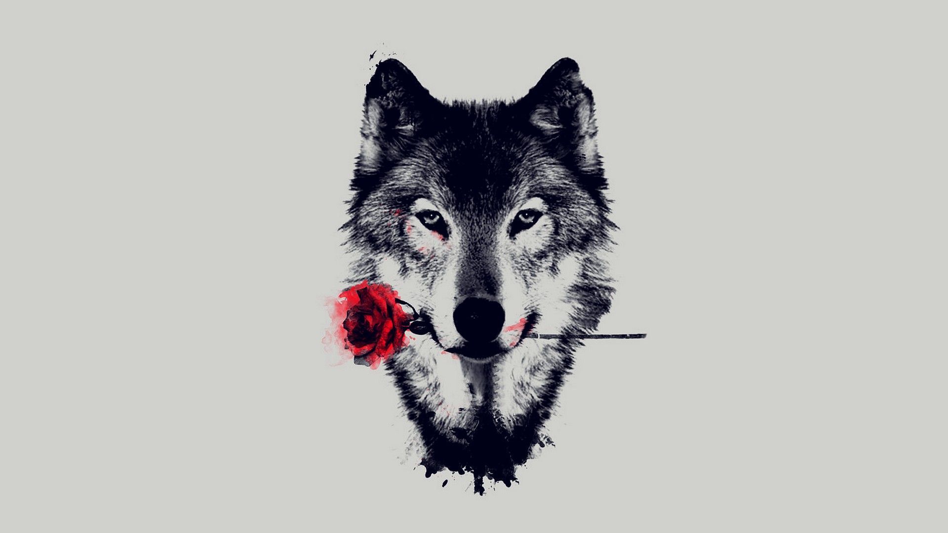 Anime Wolf Art Wallpapers