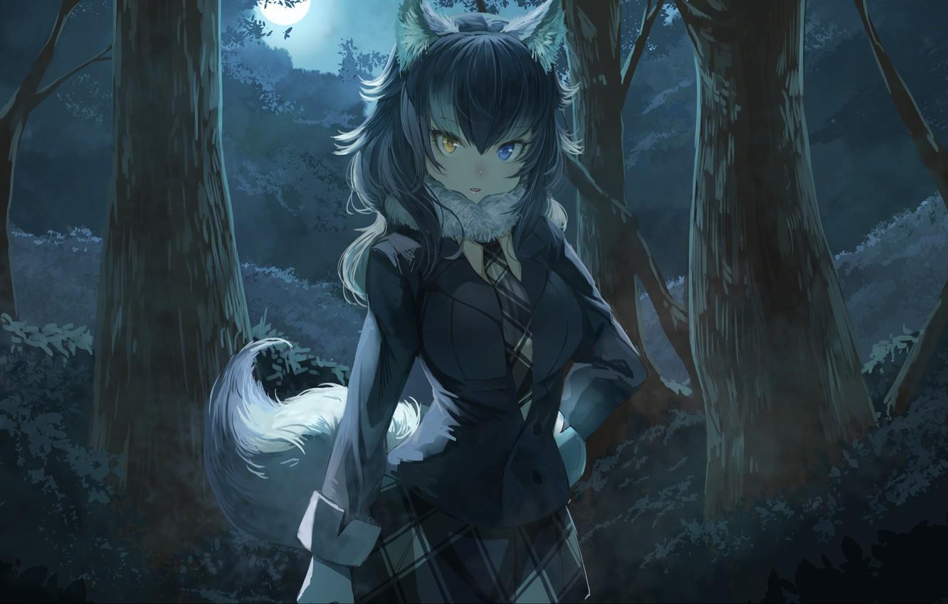 Anime Wolf Art Wallpapers