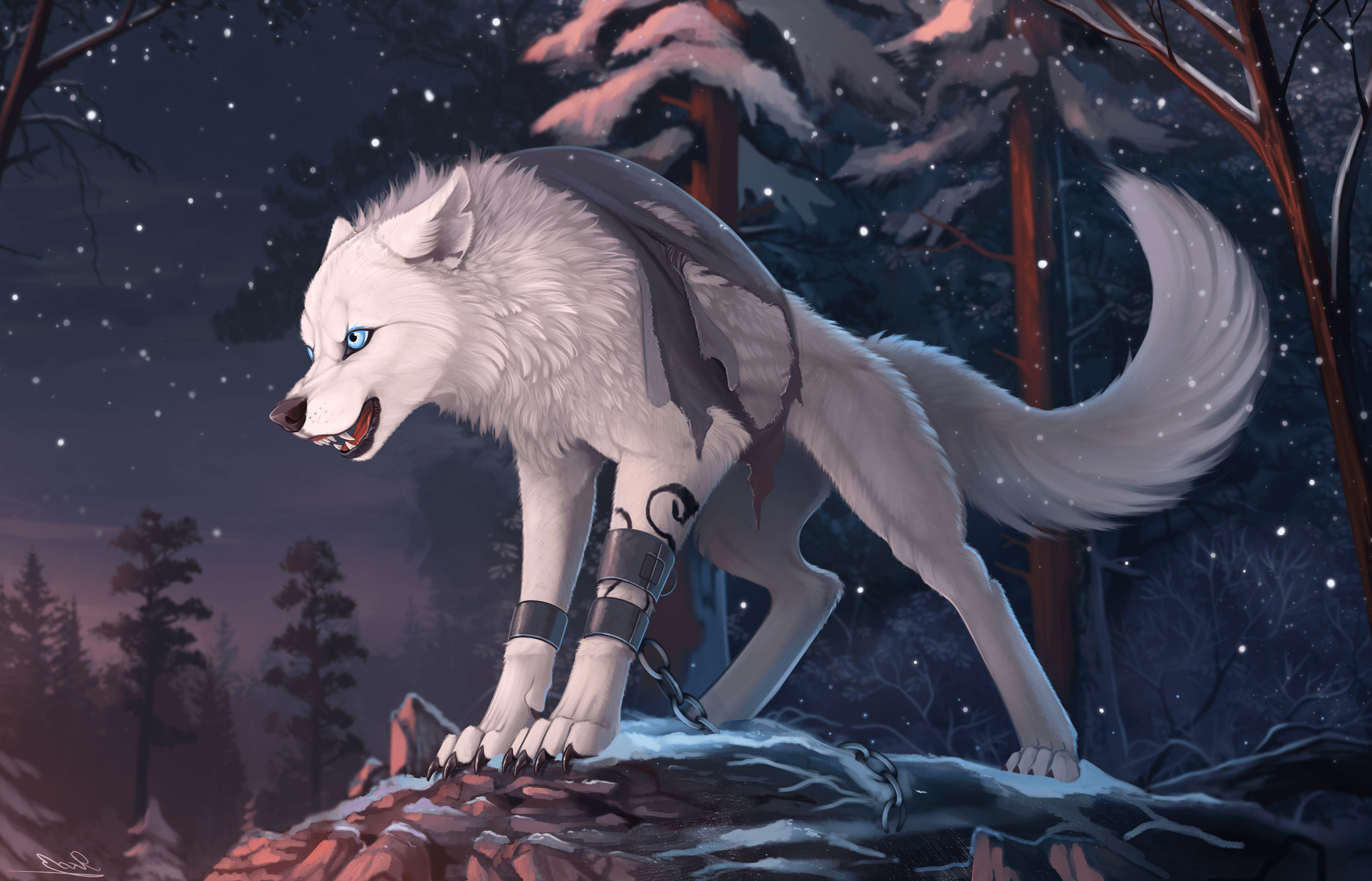 Anime Wolf Black Wallpapers