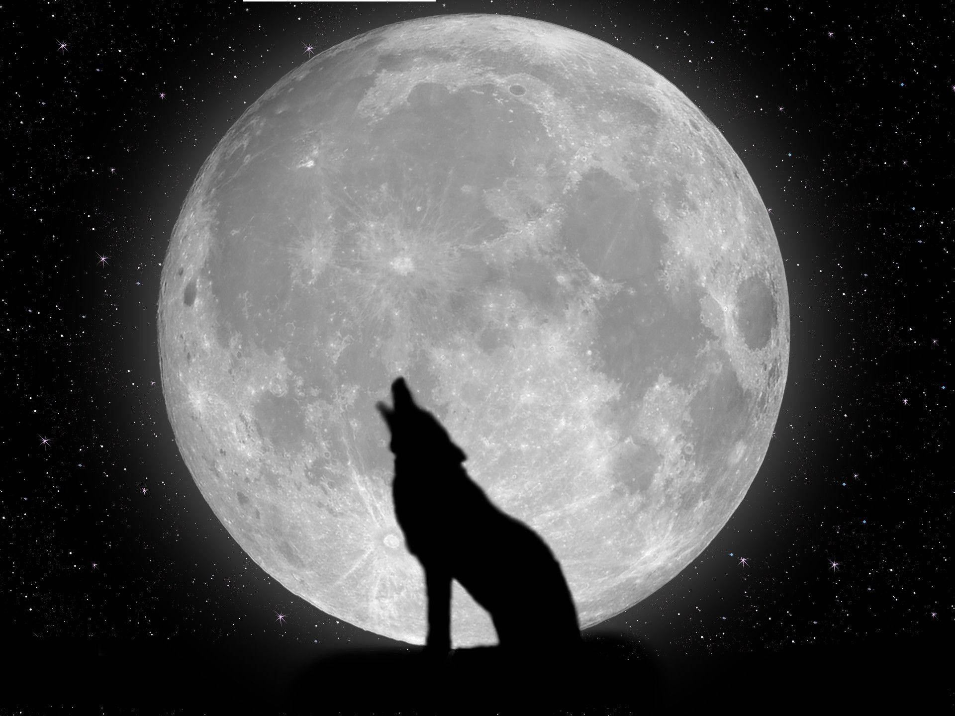 Anime Wolf Black Wallpapers