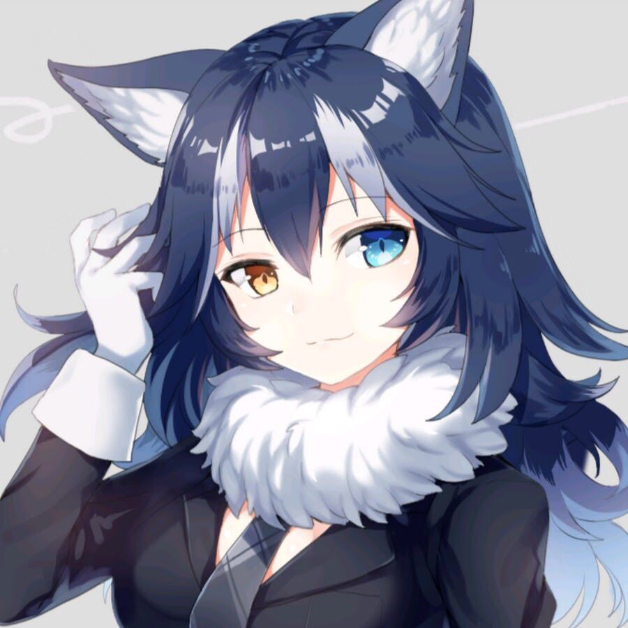 Anime Wolf Girl Wallpapers