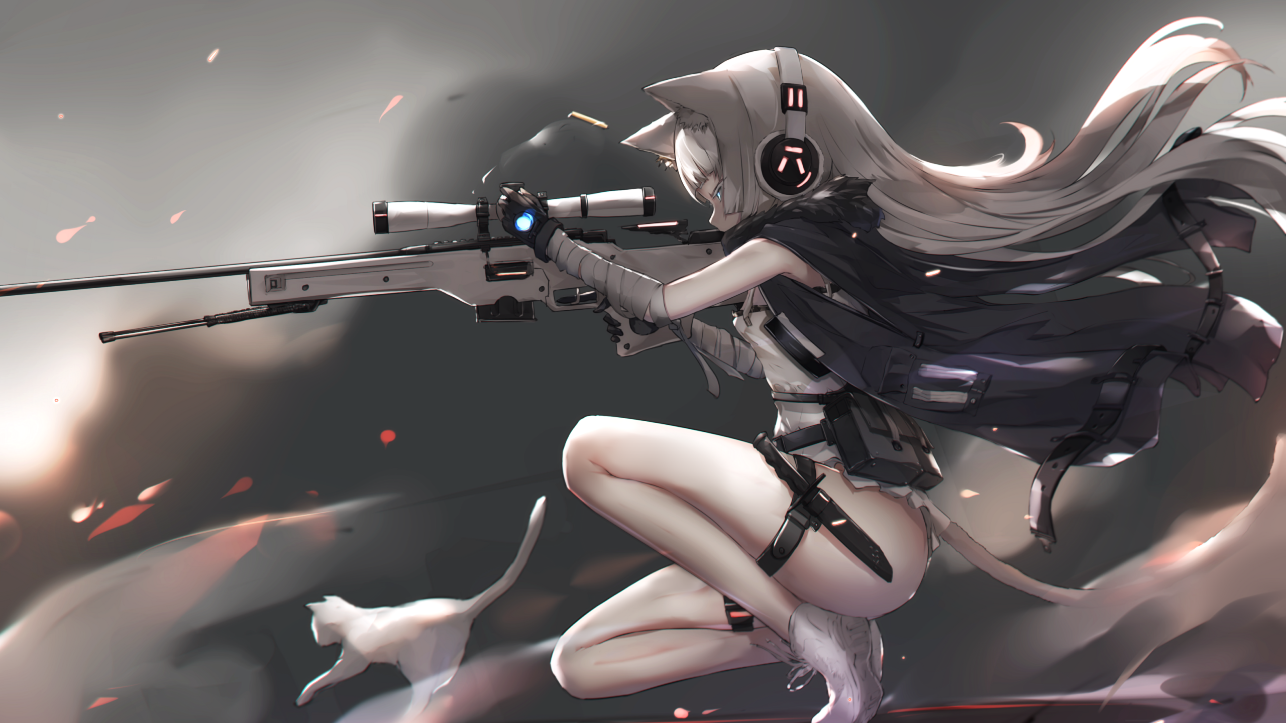 Assassin Anime Girl Wallpapers