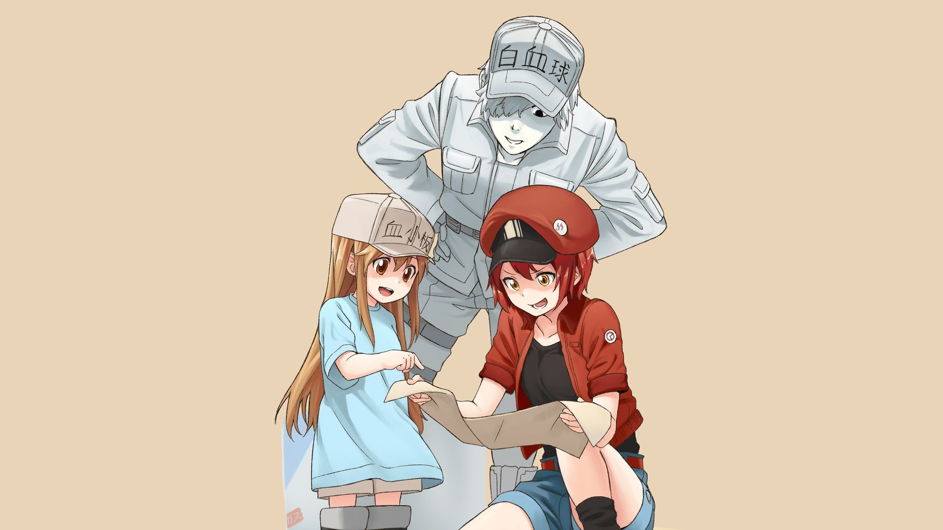 Cells At Work! Wallpapers