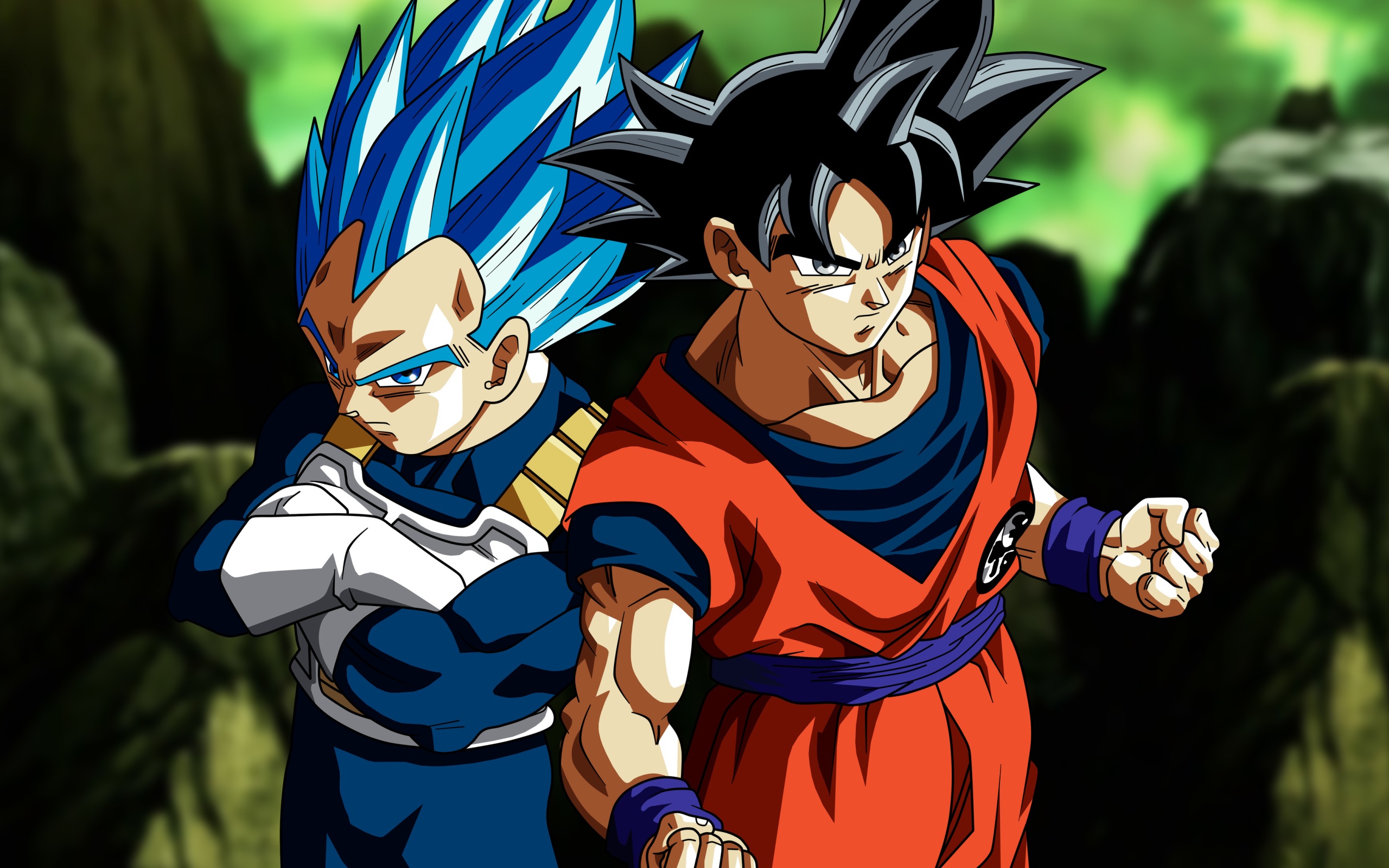 Dragon Ball Z Goku Vs Vegeta Wallpapers