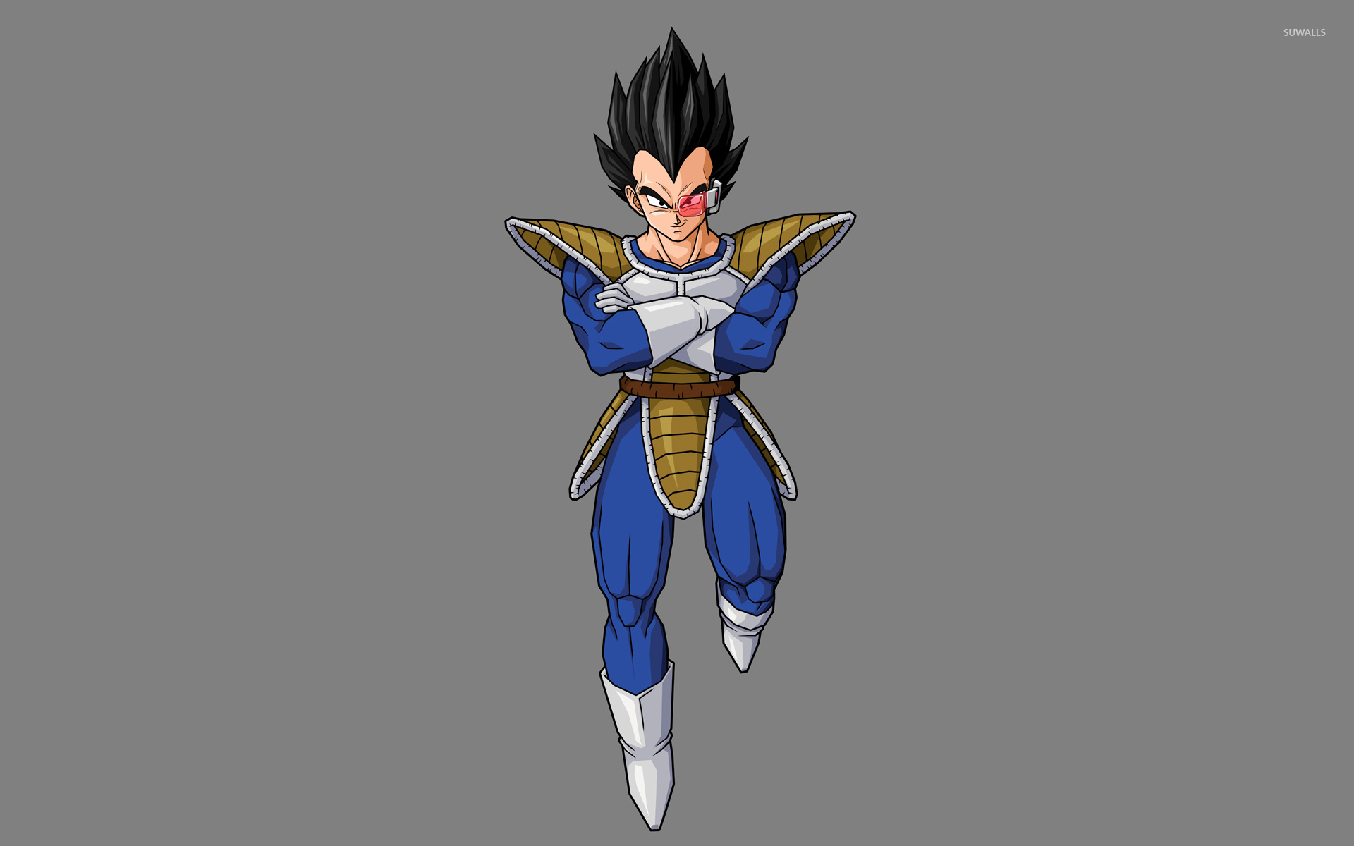 Dragon Ball Z Vegeta Wallpapers