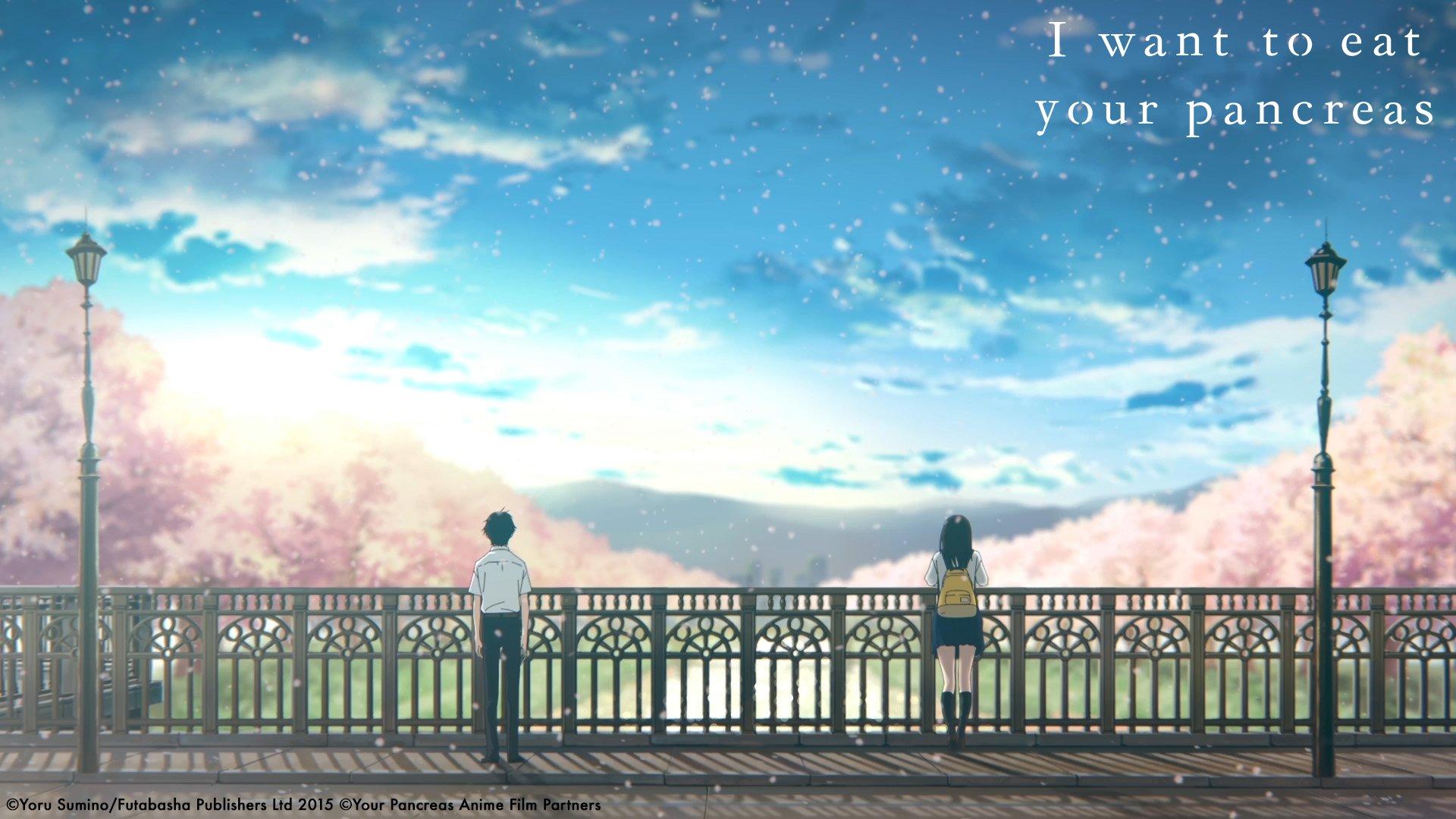 I Want To Eat Your Pancreas Wallpapers