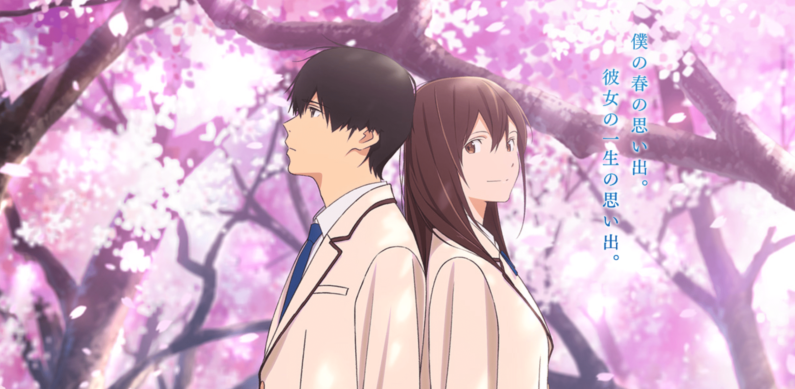 I Want To Eat Your Pancreas Wallpapers