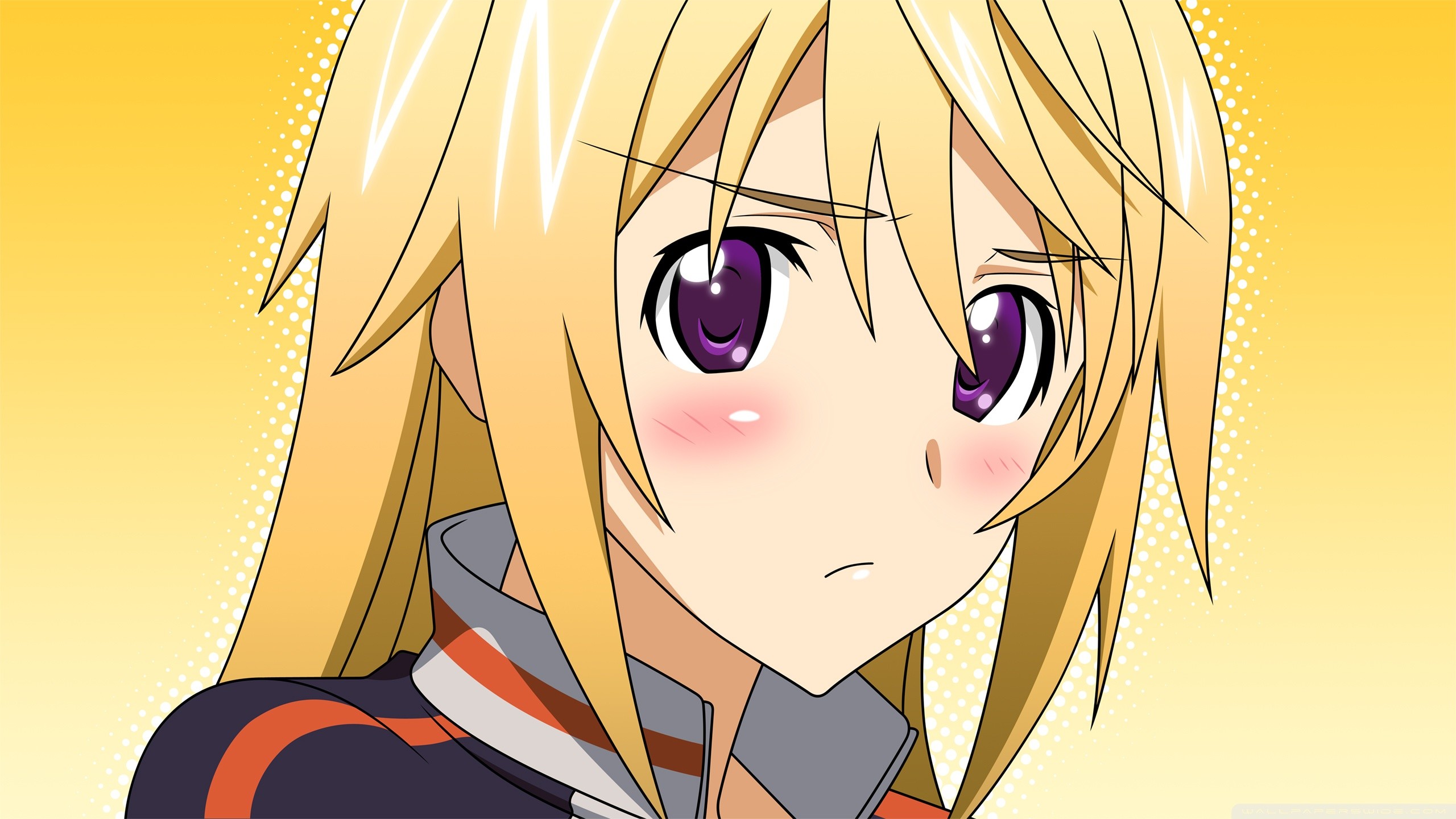 Infinite Stratos Wallpapers