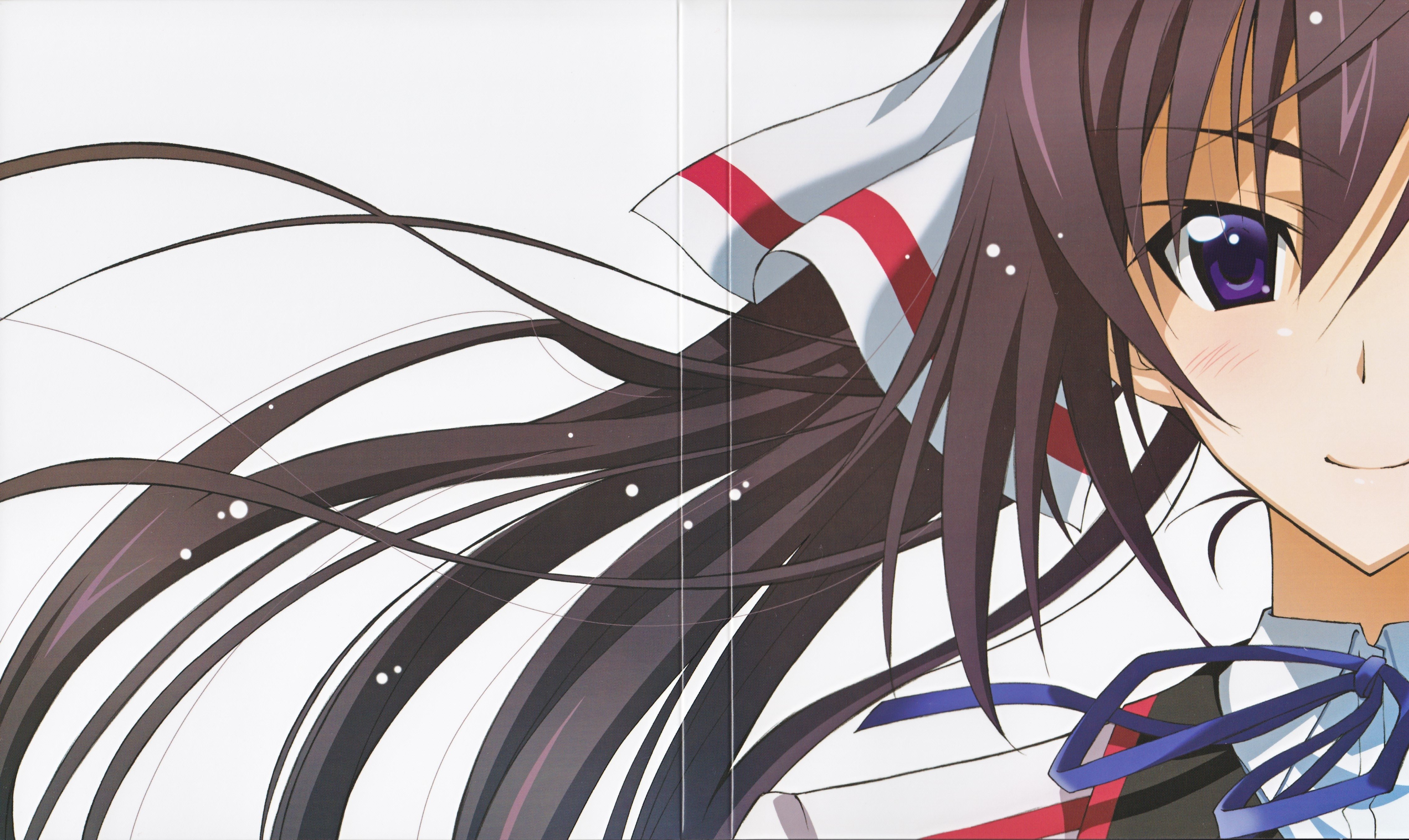 Infinite Stratos Wallpapers