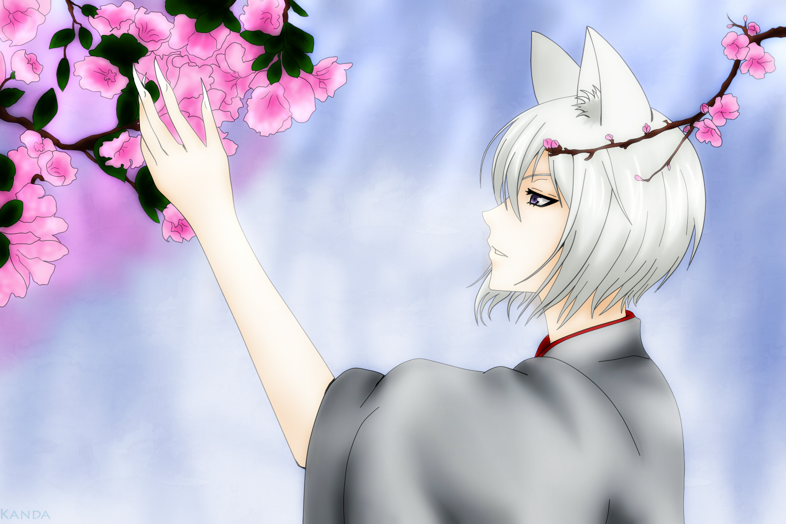 Kamisama Kiss Wallpapers