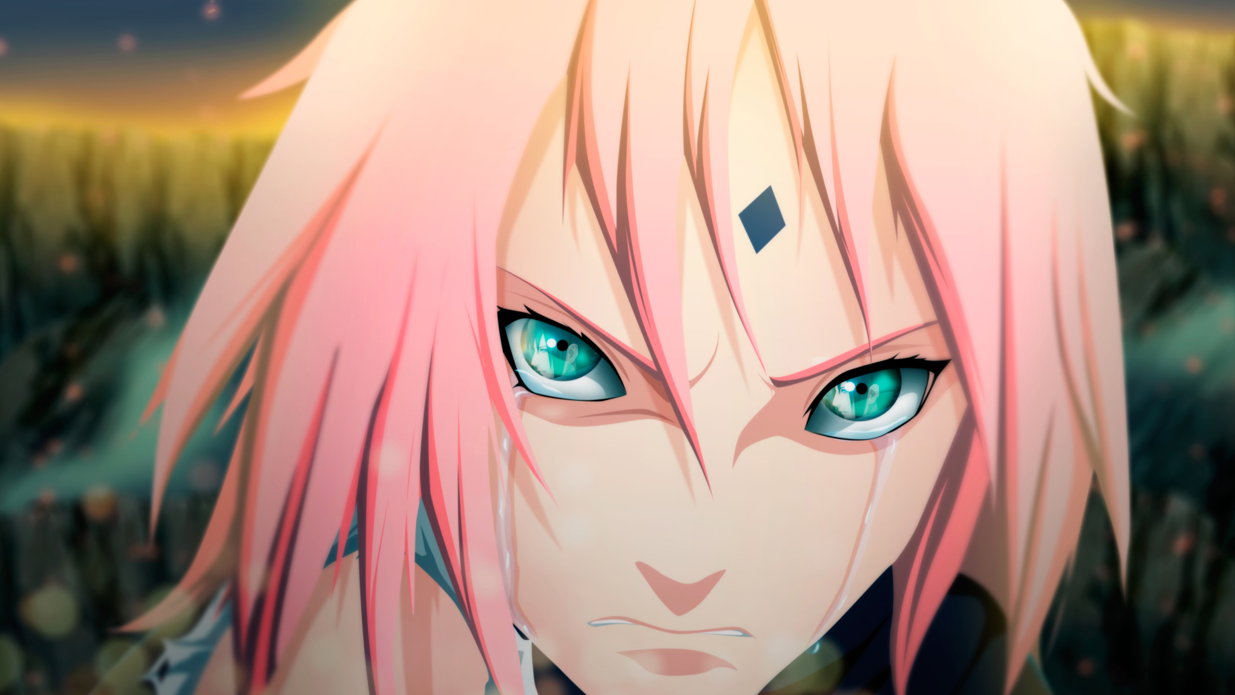 Naruto Sakura Wallpapers