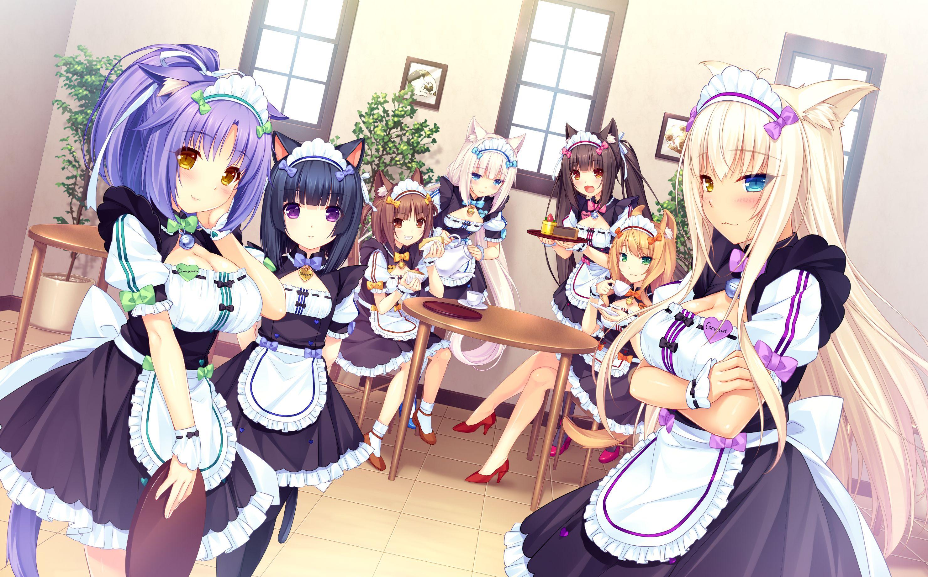 Nekopara Wallpapers