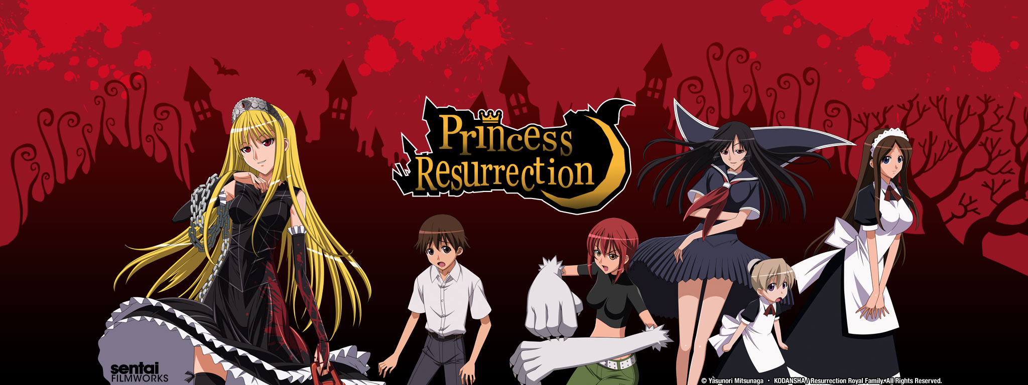 Princess Resurrection Wallpapers