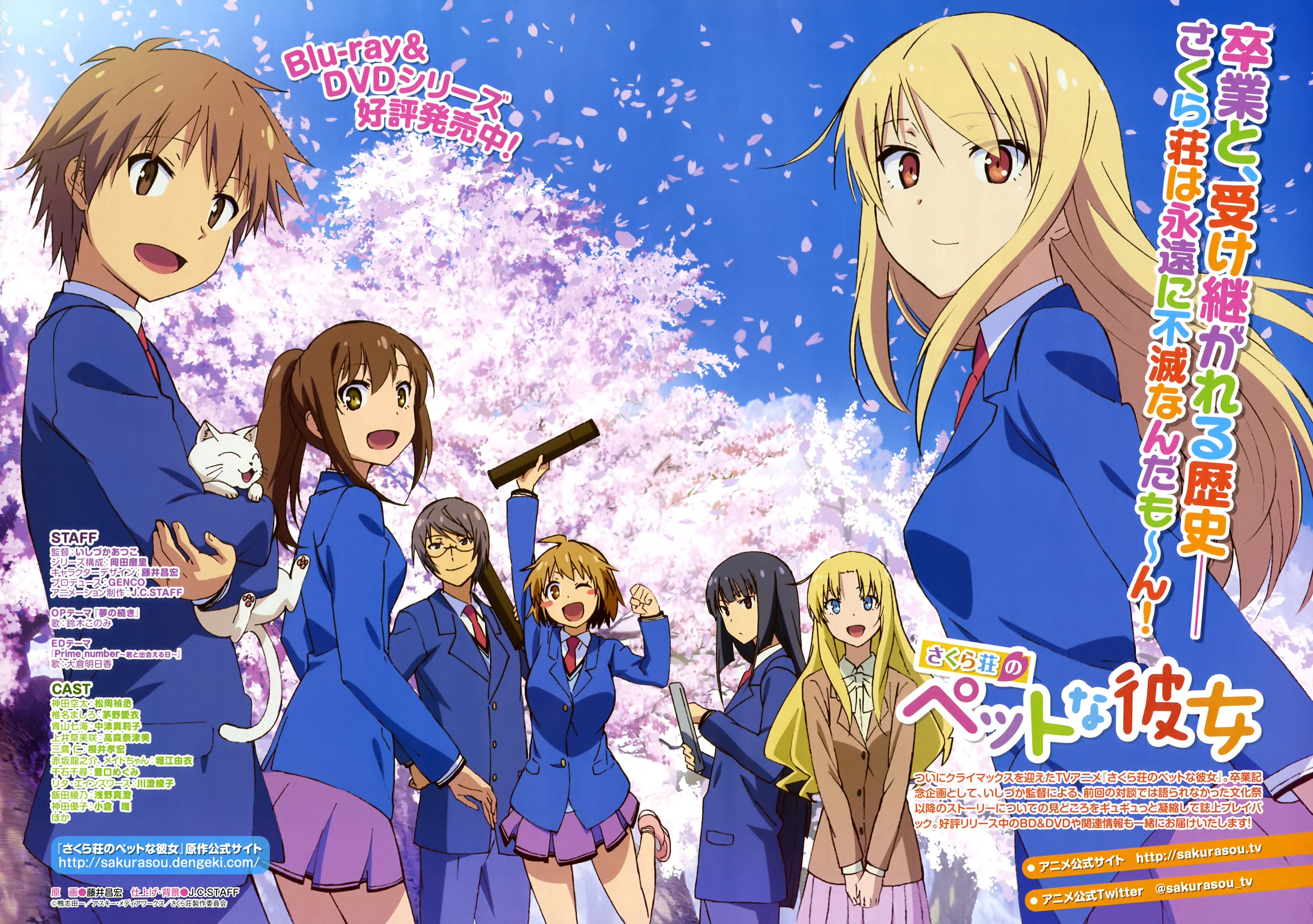 Sakurasou No Pet Na Kanojo Wallpapers