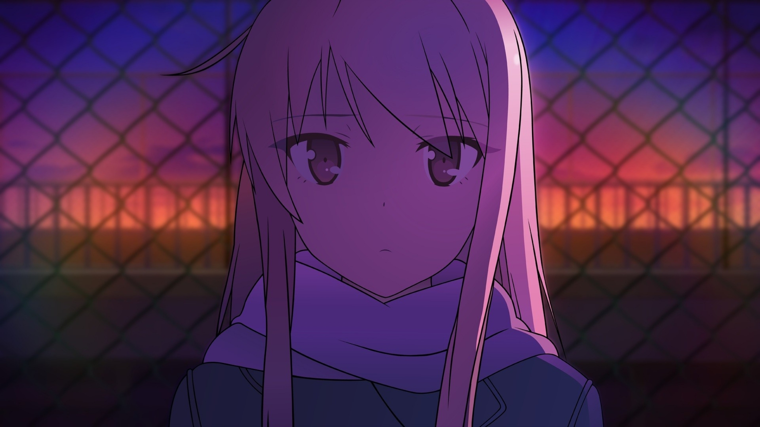 Sakurasou No Pet Na Kanojo Wallpapers