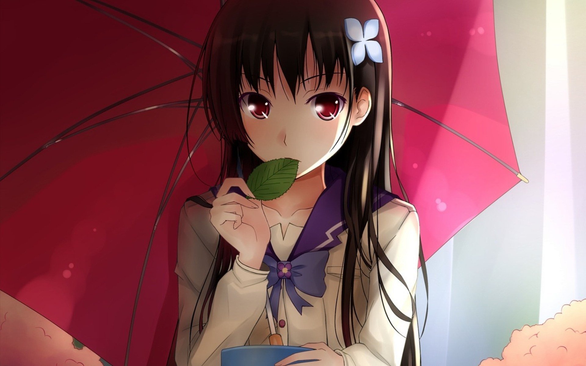 Sankarea Wallpapers