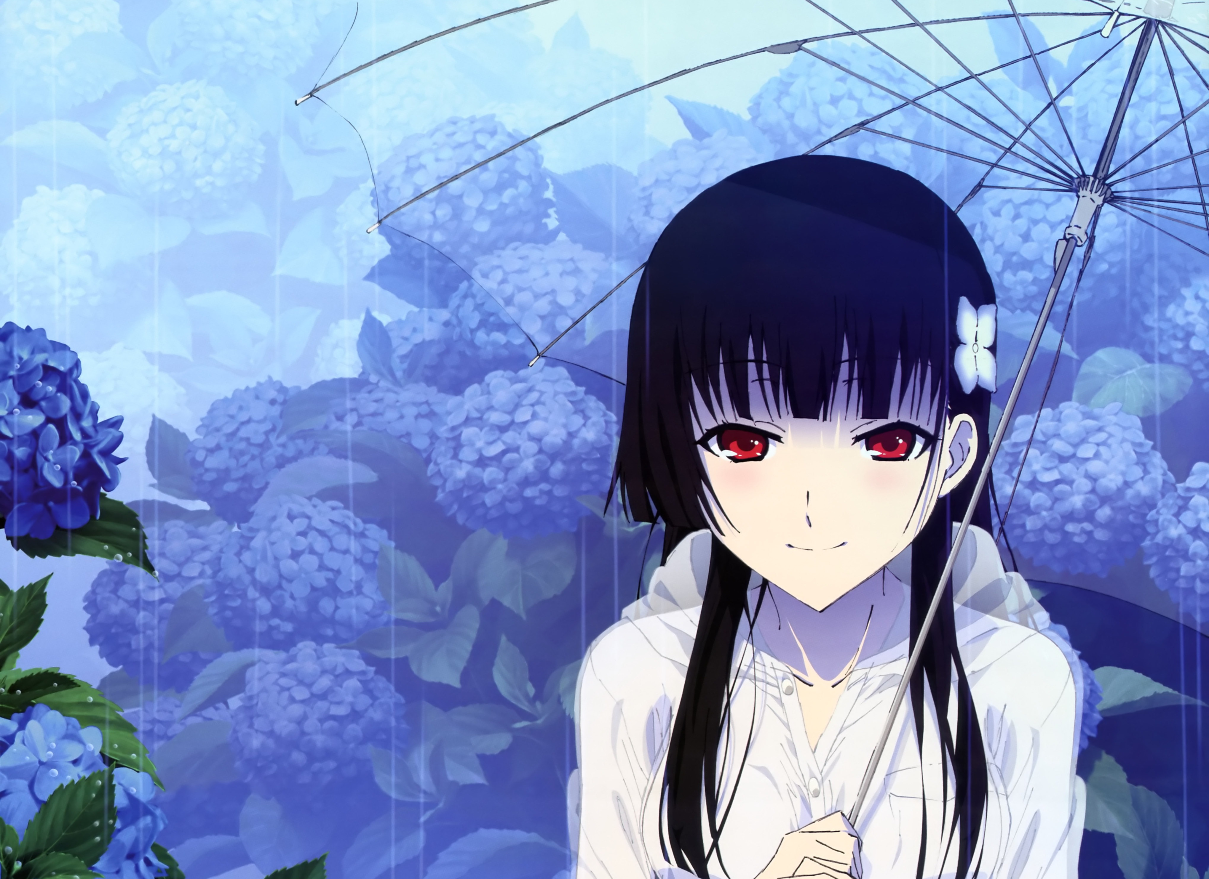 Sankarea Wallpapers