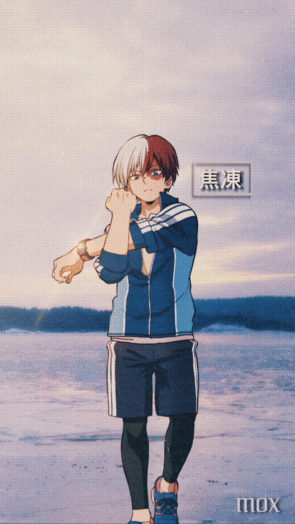 Shoto Todoroki Wallpapers