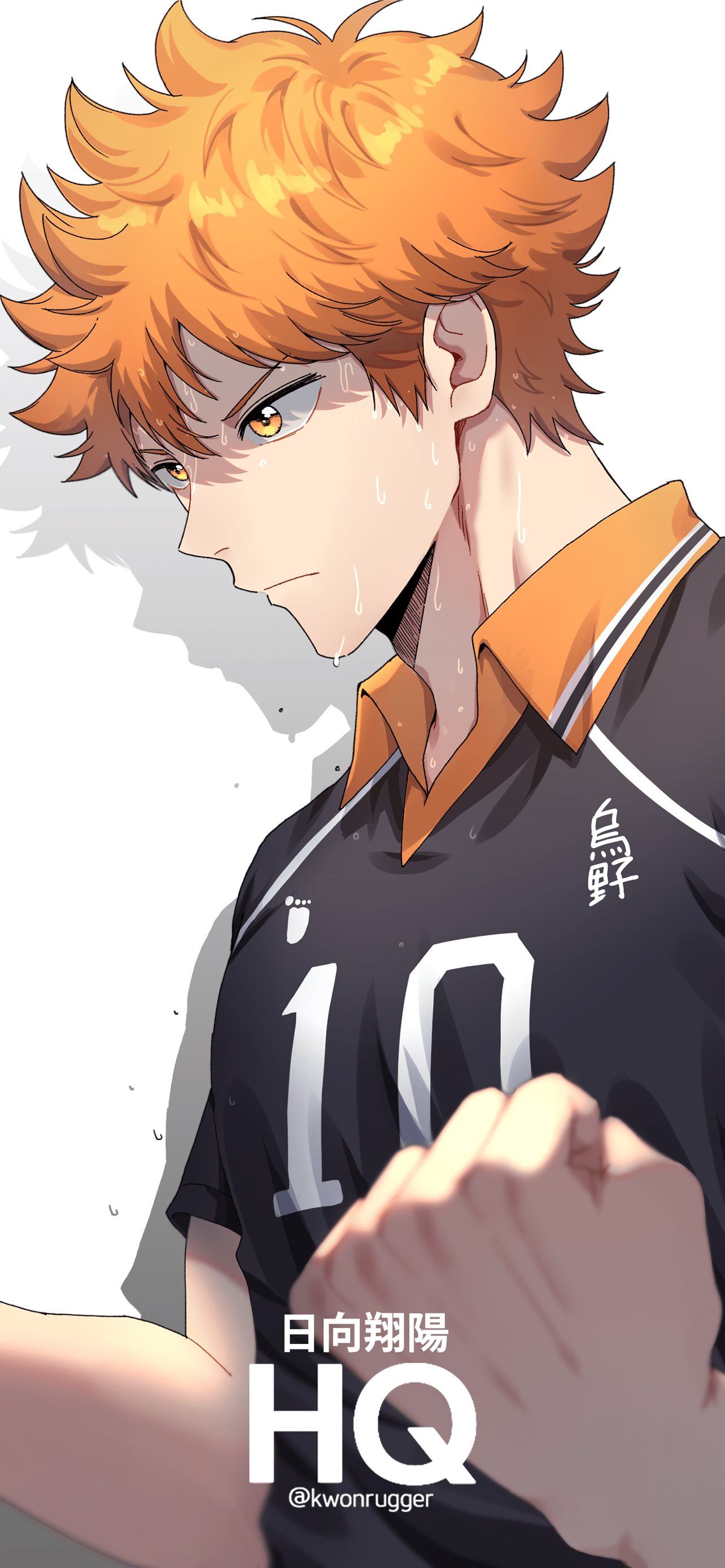 Shouyou Hinata Wallpapers