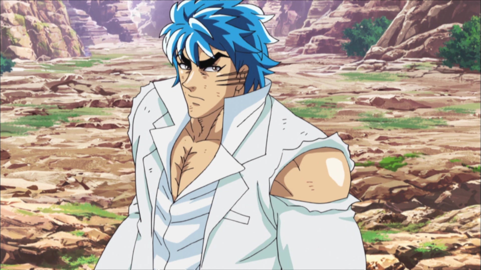 Toriko Wallpapers