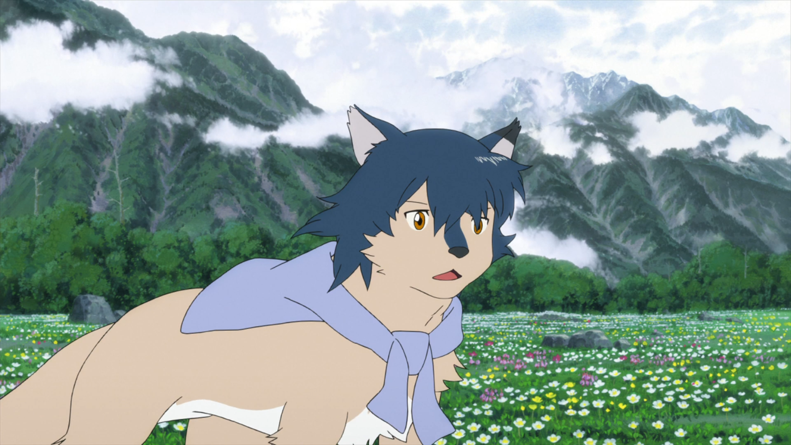 Wolf Children Wallpapers