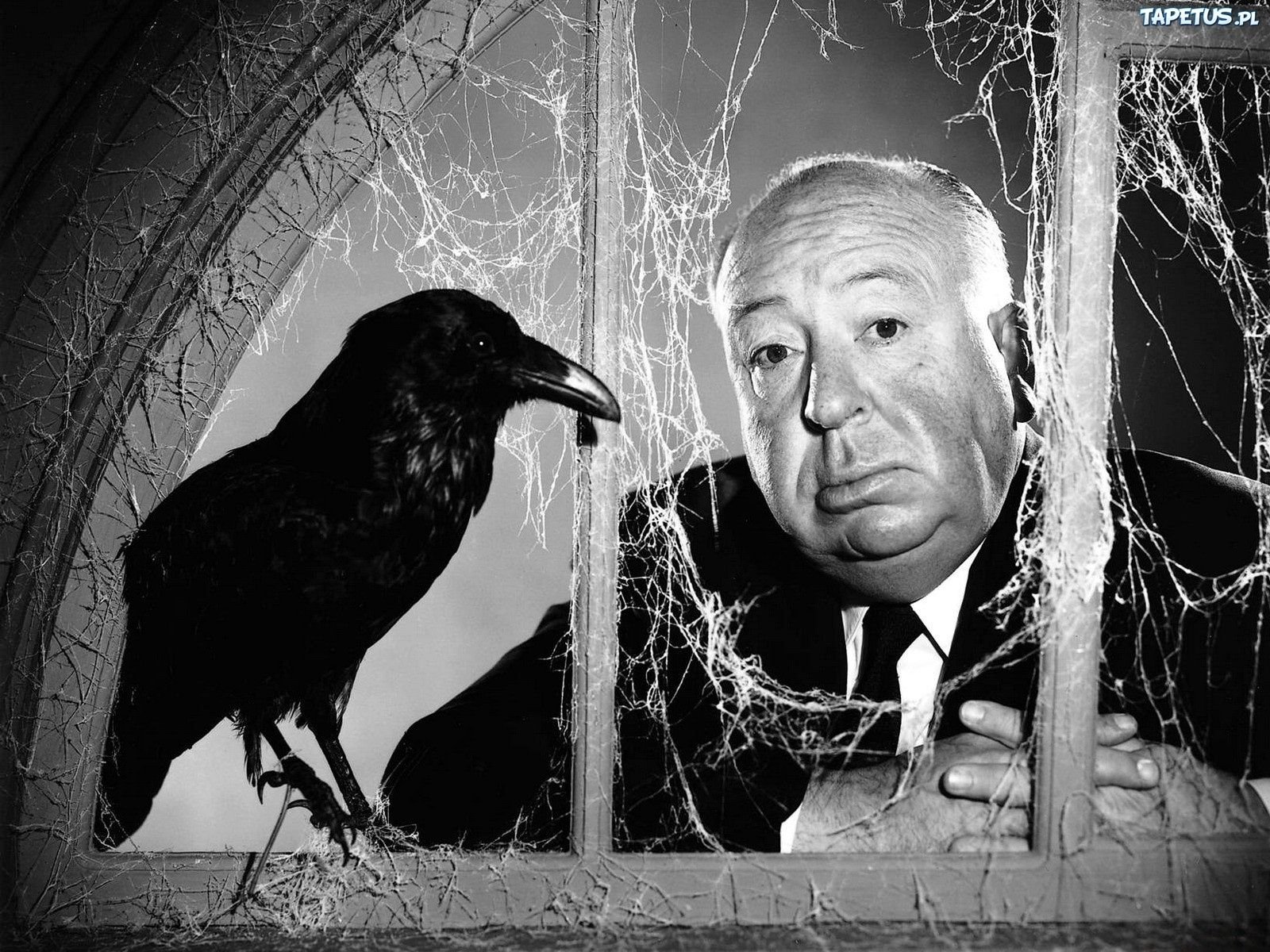 Alfred Hitchcock Wallpapers