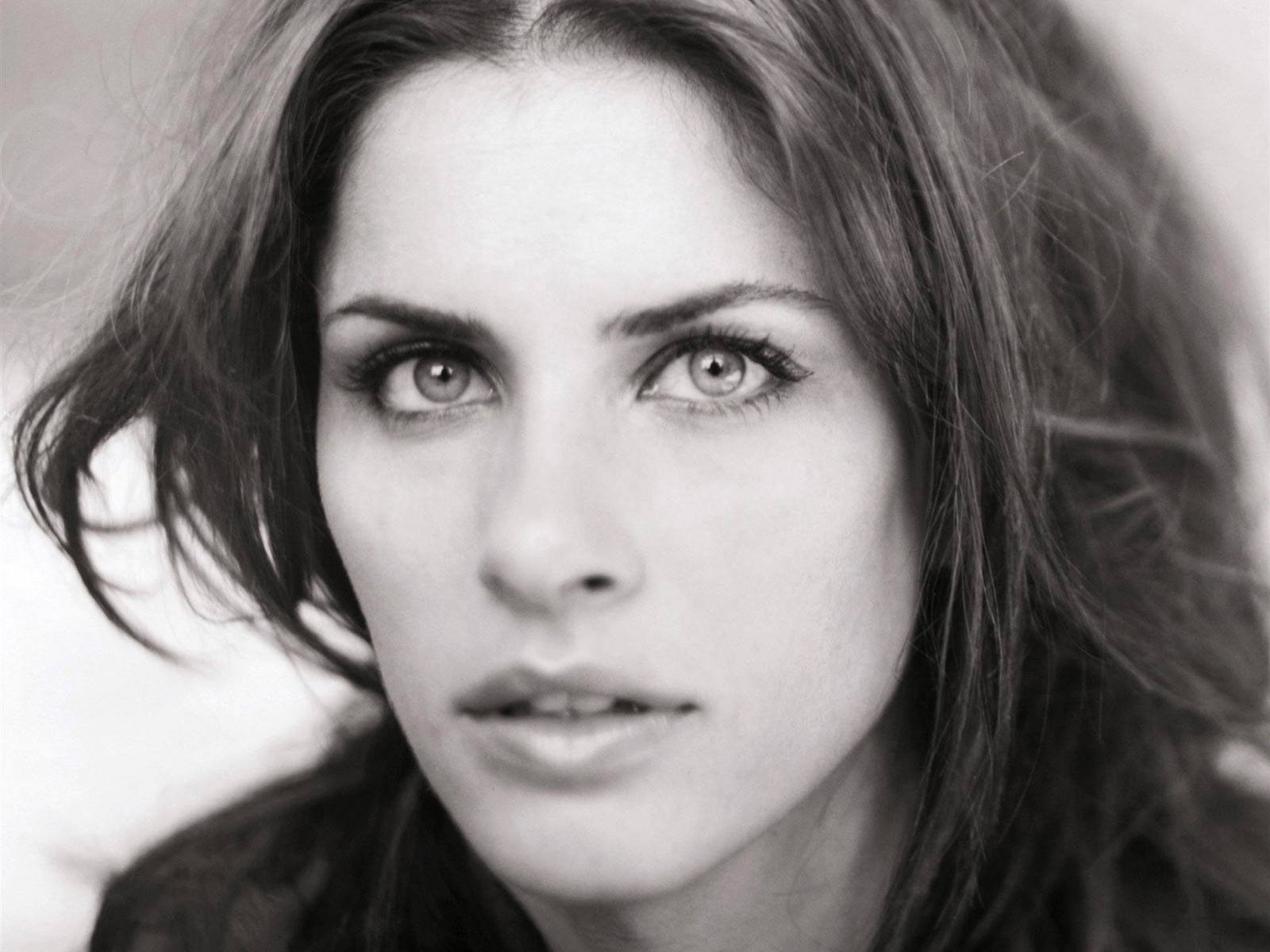 Amanda Peet Wallpapers