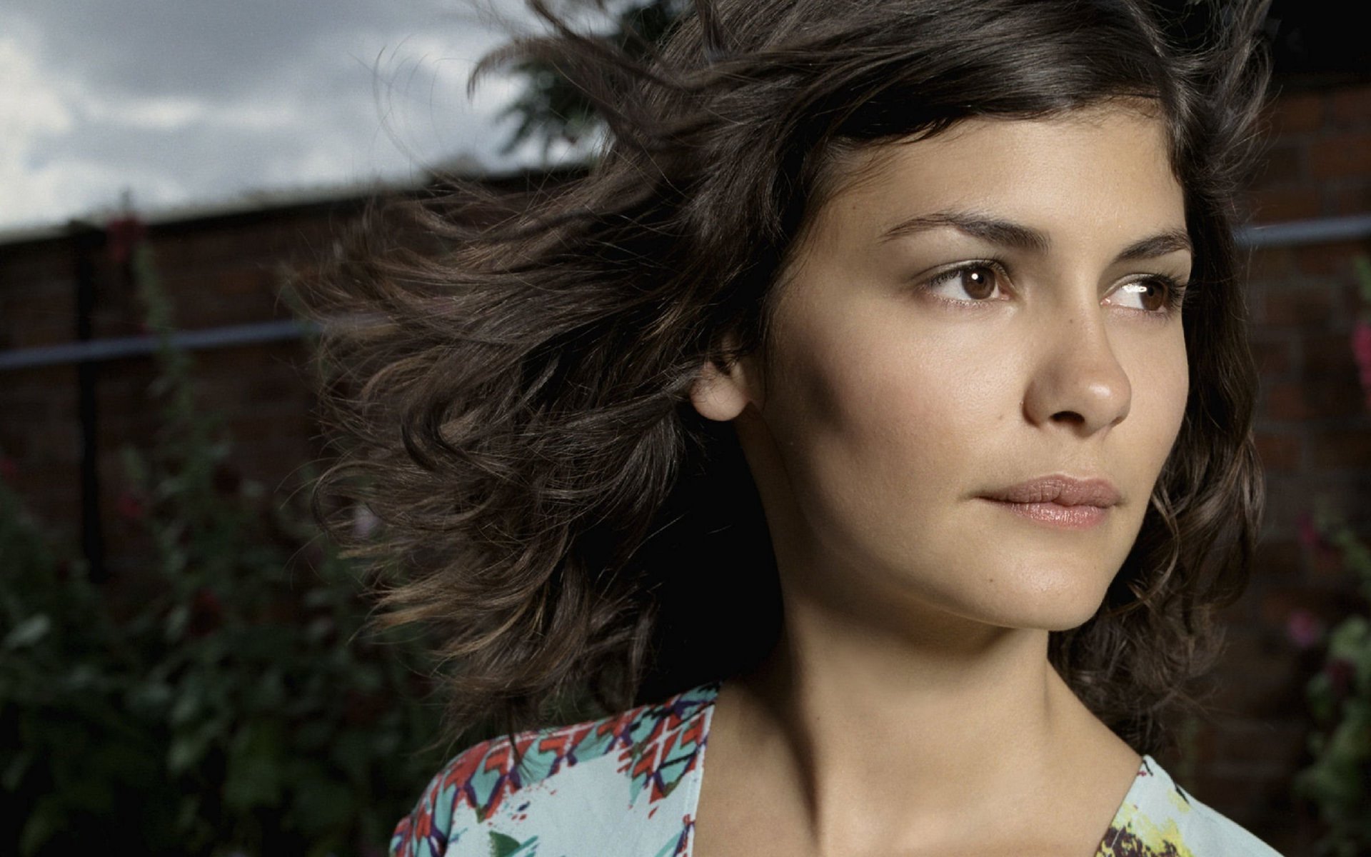 Audrey Tautou Wallpapers