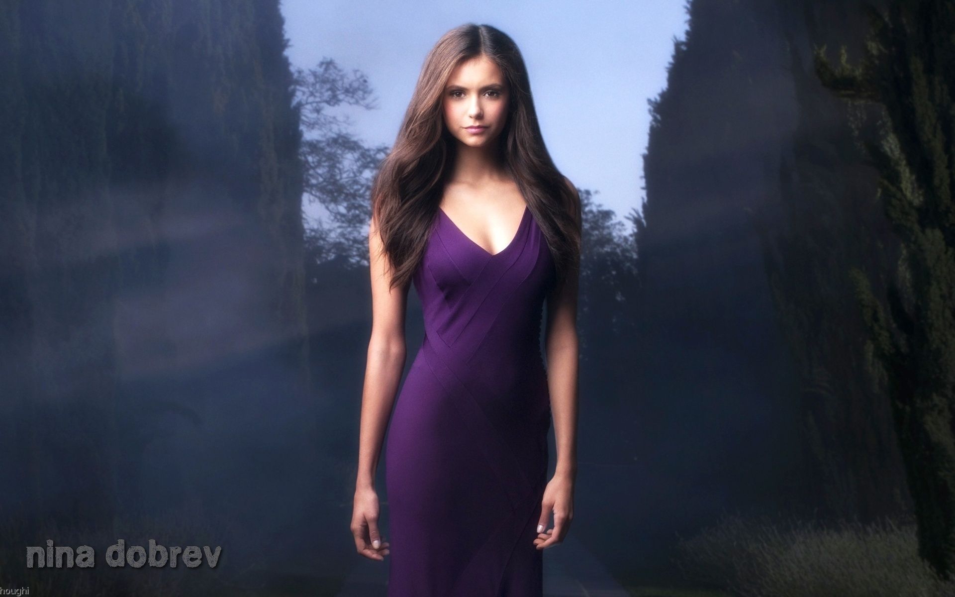 Beautiful Nina Dobrev 2020 Wallpapers