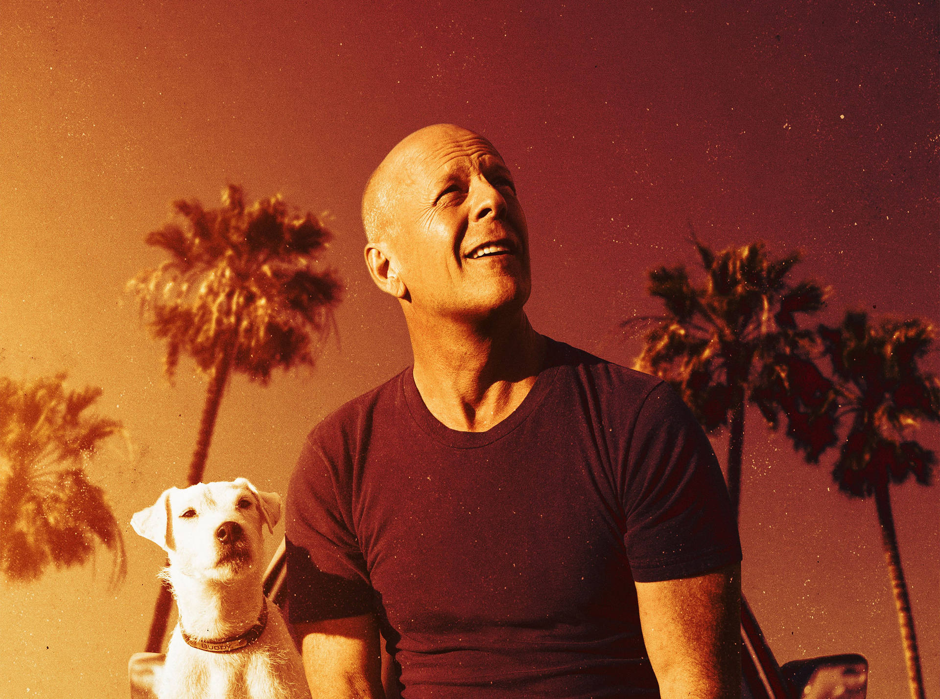 Bruce Willis Wallpapers