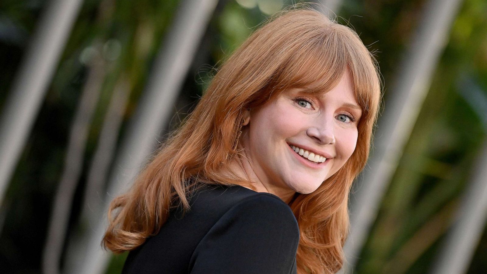 Bryce Dallas Howard Wallpapers