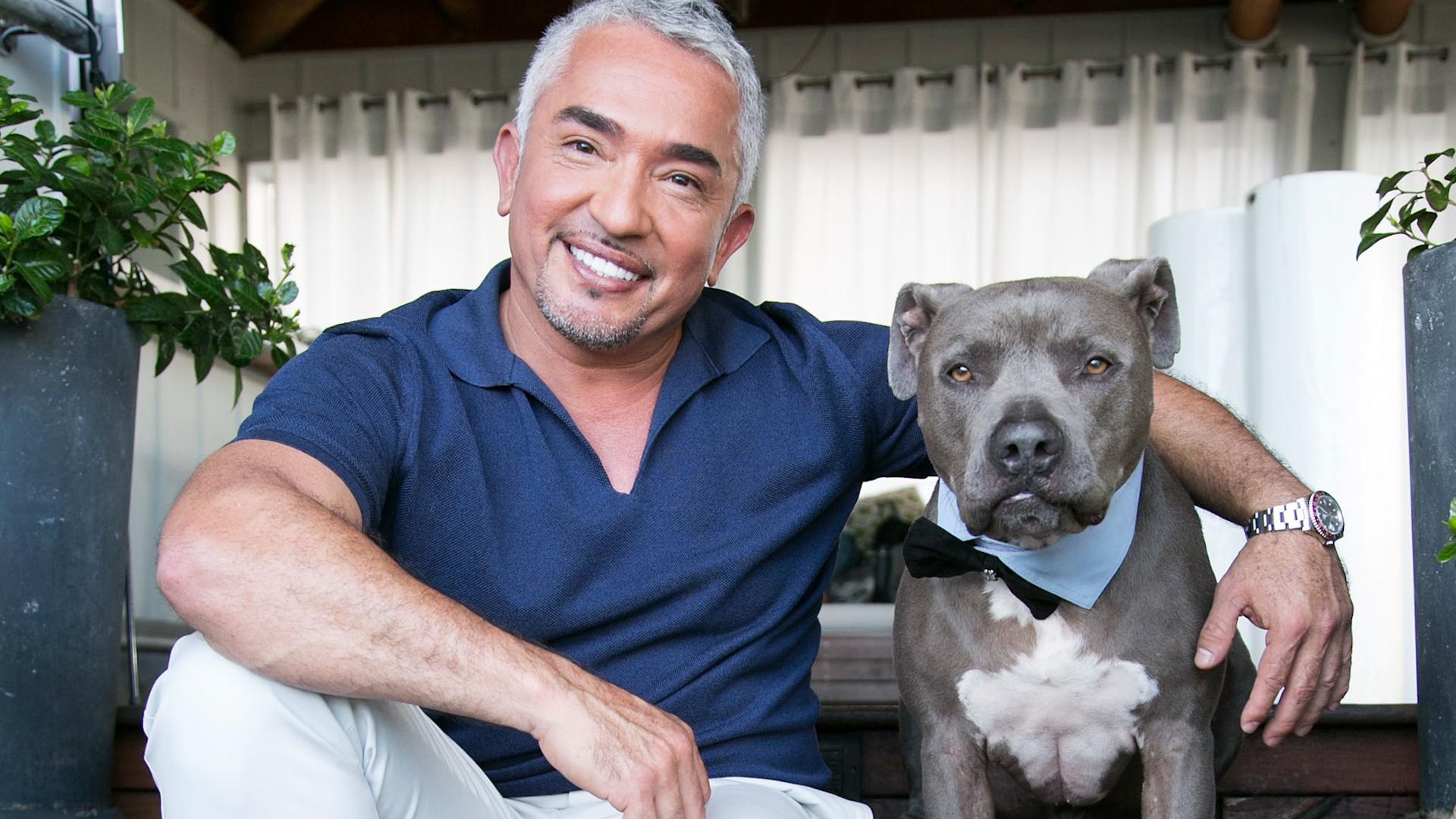 Cesar Millan Wallpapers