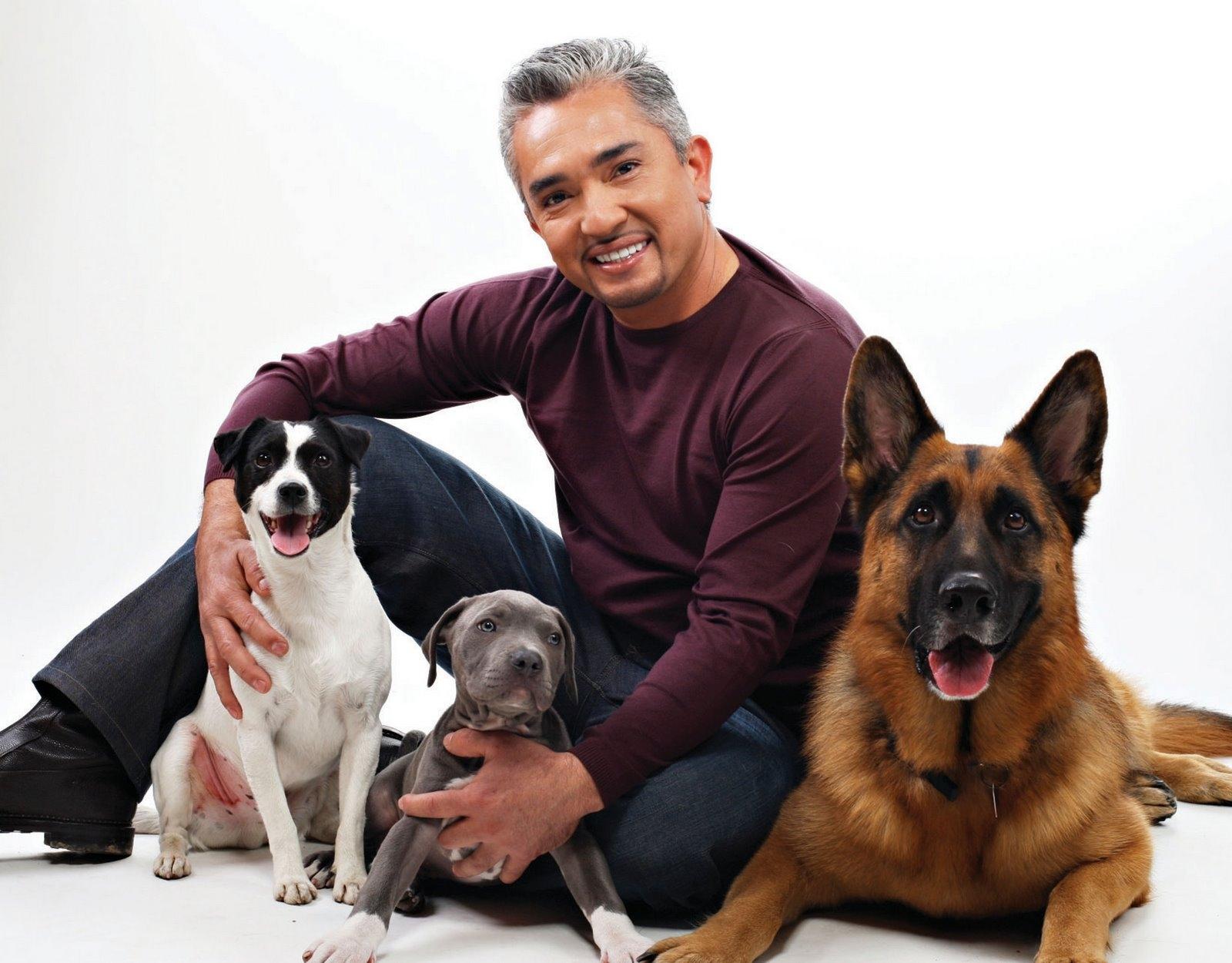 Cesar Millan Wallpapers