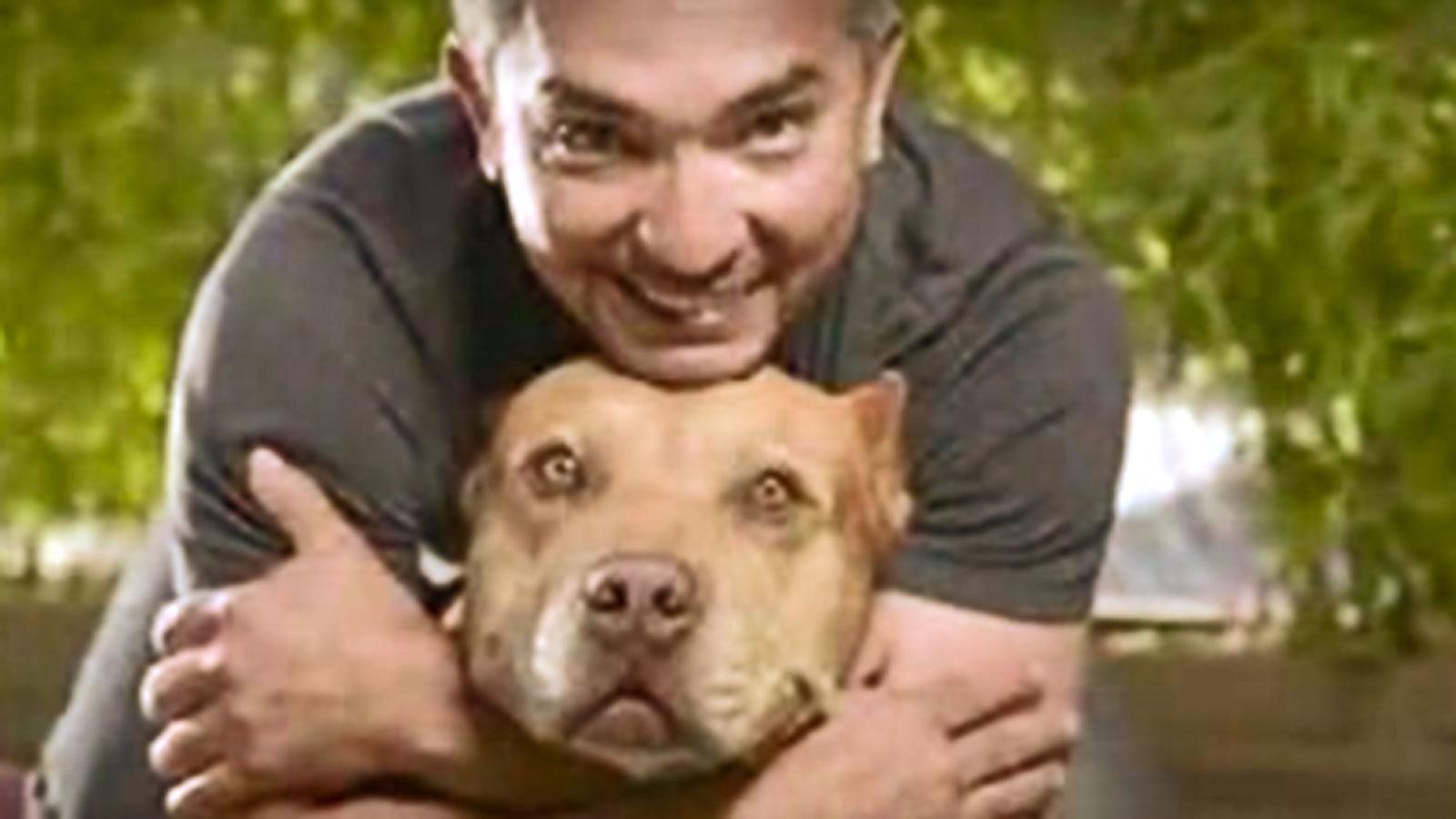 Cesar Millan Wallpapers