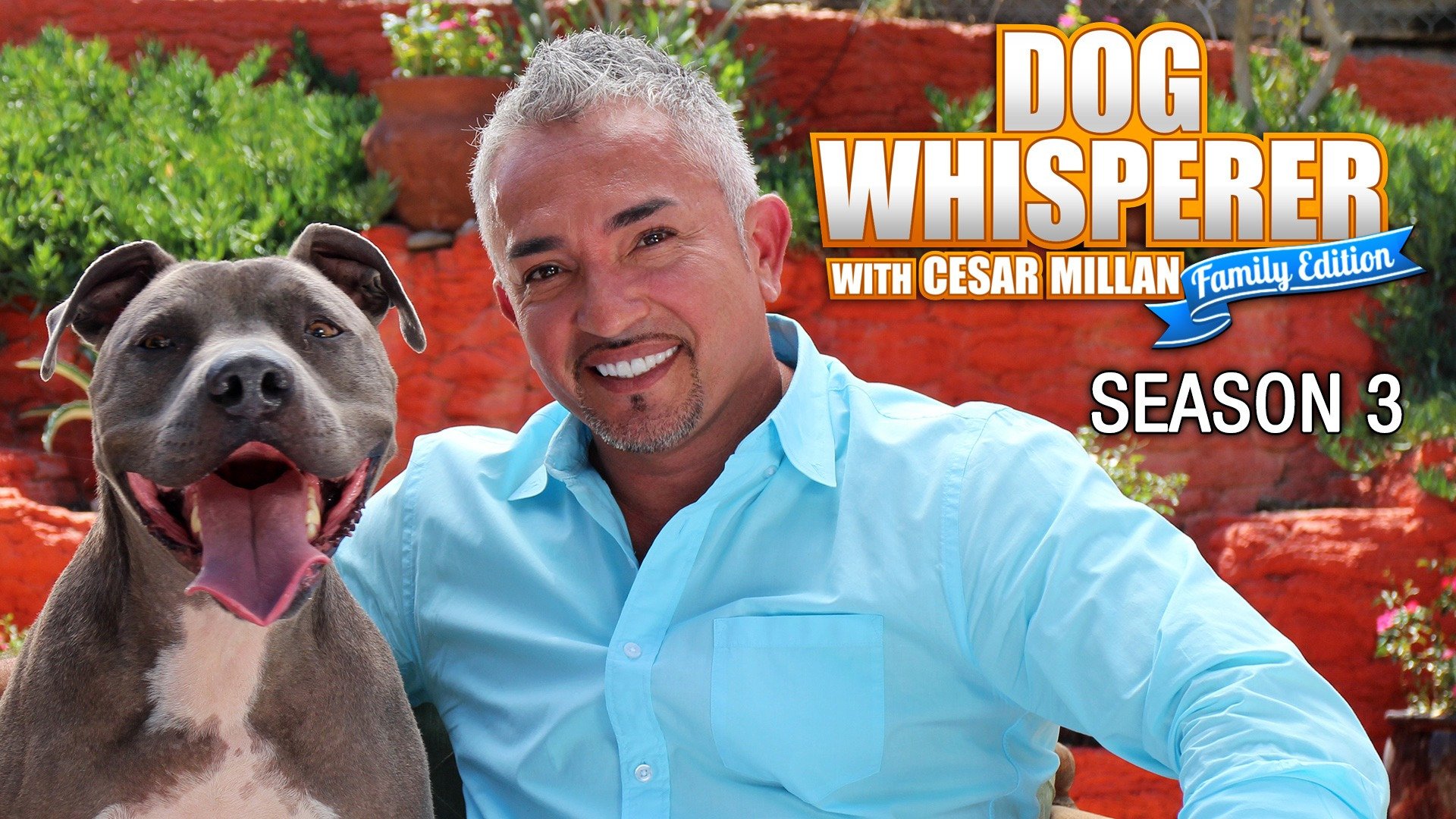 Cesar Millan Wallpapers