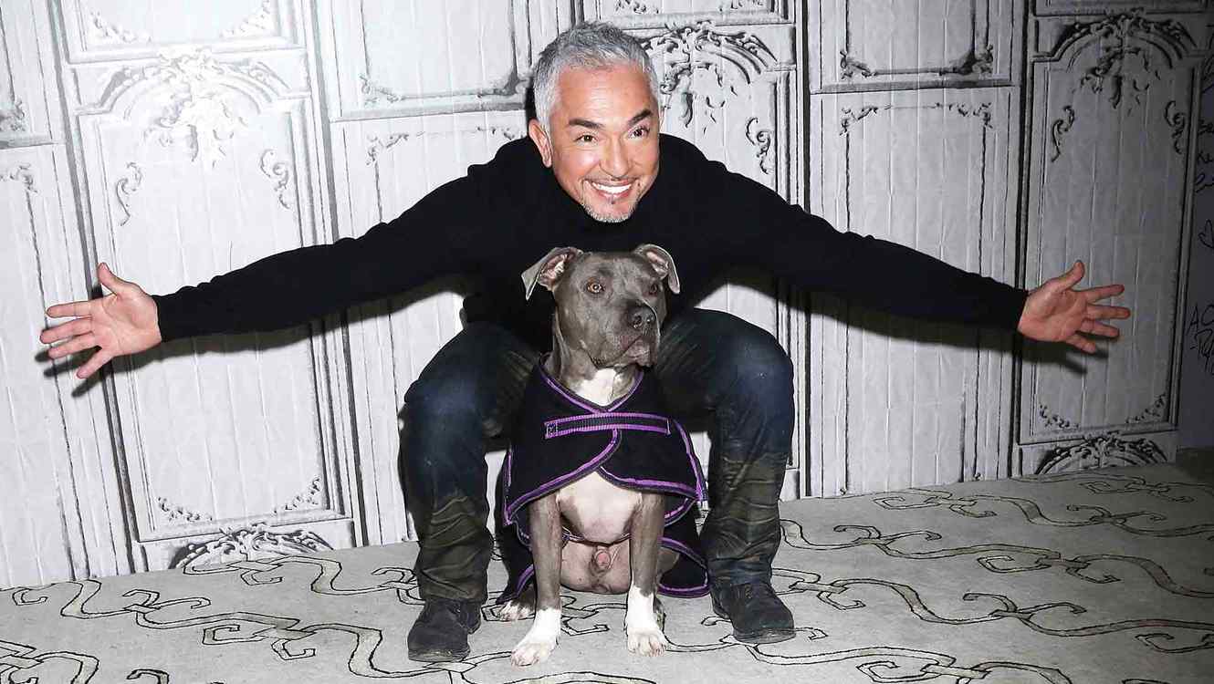 Cesar Millan Wallpapers