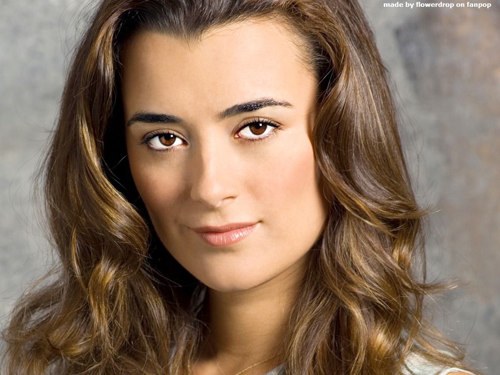 Cote de Pablo Wallpapers